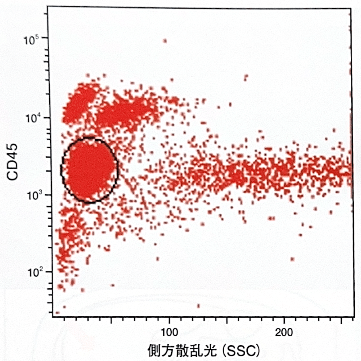 2025第71回臨床検査技師国家試験【臨床血液学】#59〜67｜そらち/臨床