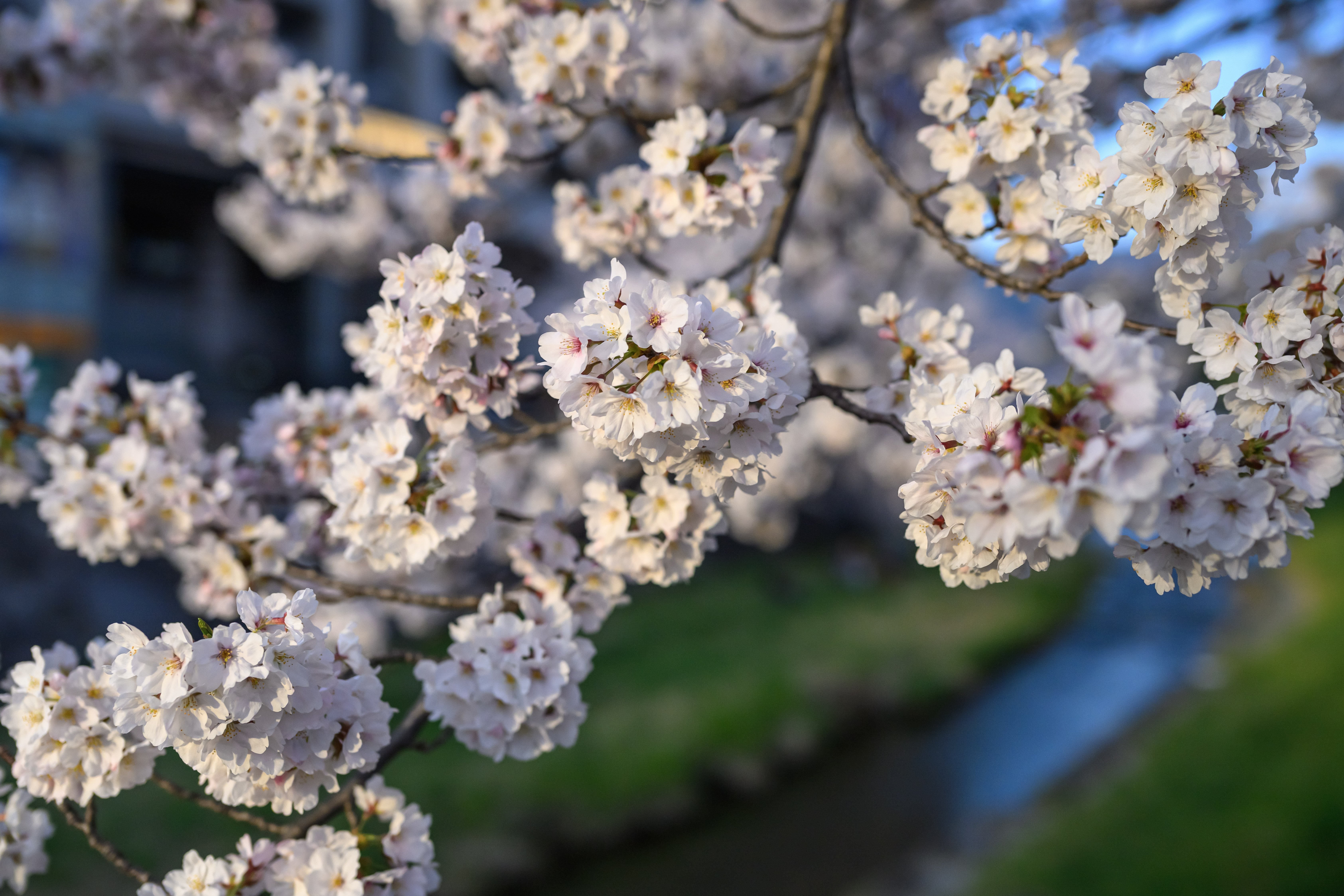 確認(*^^*ゞ♡画像2枚 解像感と情報量。画に説得力を与えるレンズ「NIKKOR Z 35mm F/1.2 S