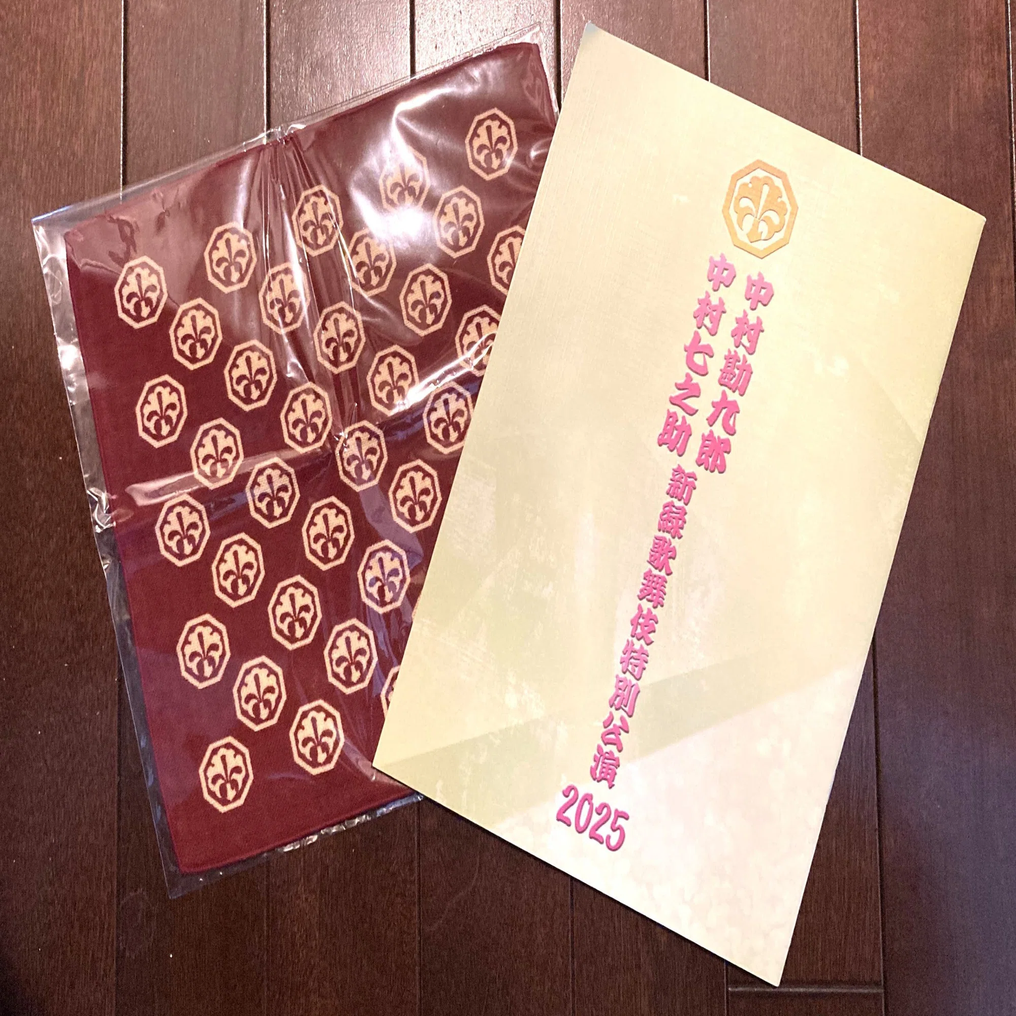 中村勘九郎 中村七之助新緑歌舞伎特別公演2025 観劇記録（一部ネタバレ 