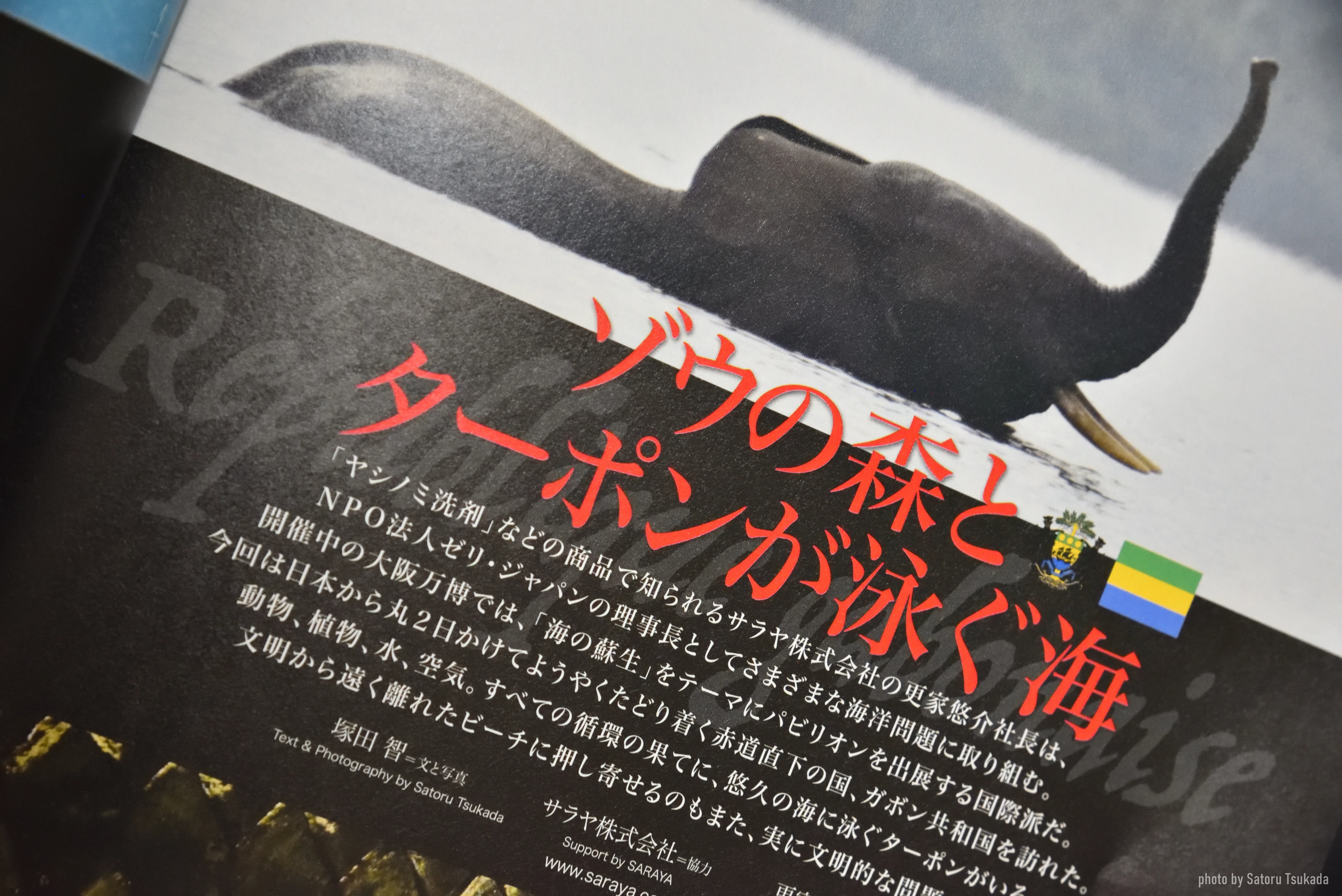 お土産の少ない、とあるアフリカの国の話｜【ニシマ雑報】
