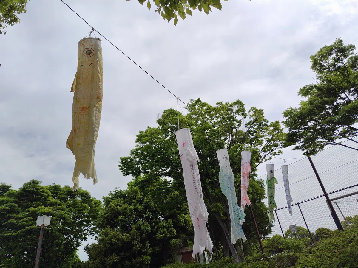 画像