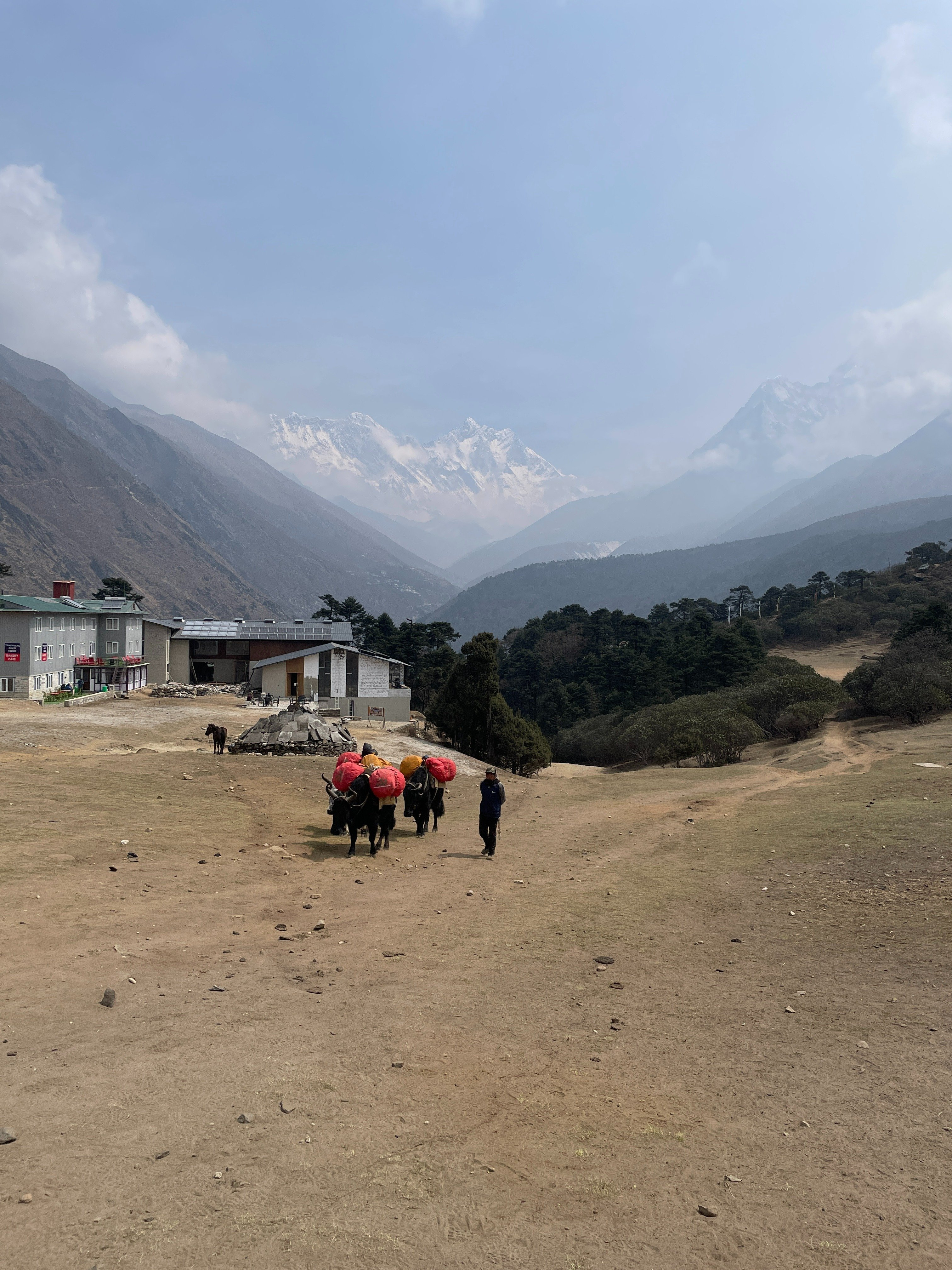 ヒマラヤの旅】Day5・6 Khunjung-Panboche｜吉川賢一 / Kenichi