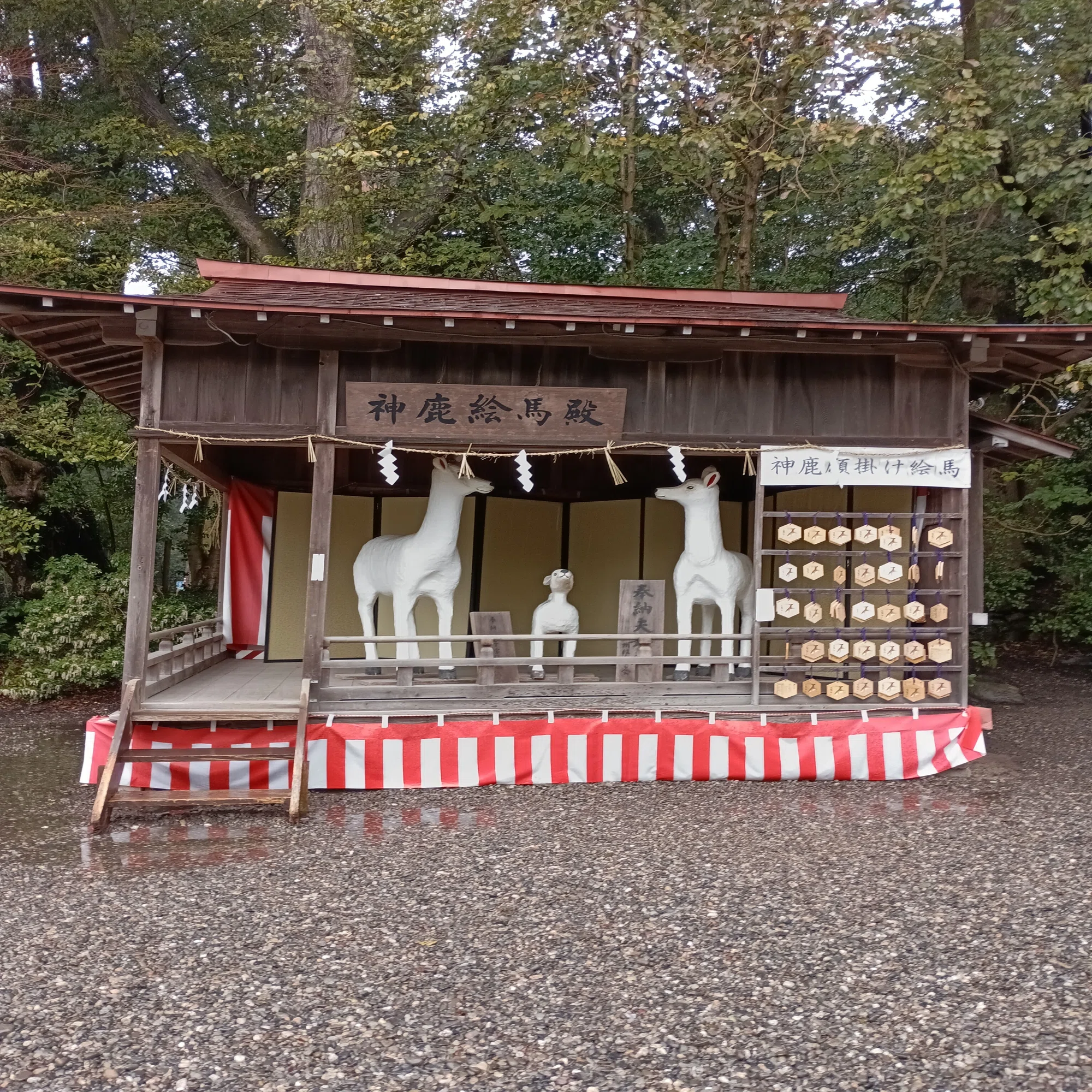 アラハバキ神との邂逅 砥鹿神社 ｨｲ・ヤシロ・チvol.92｜名艸まさ美