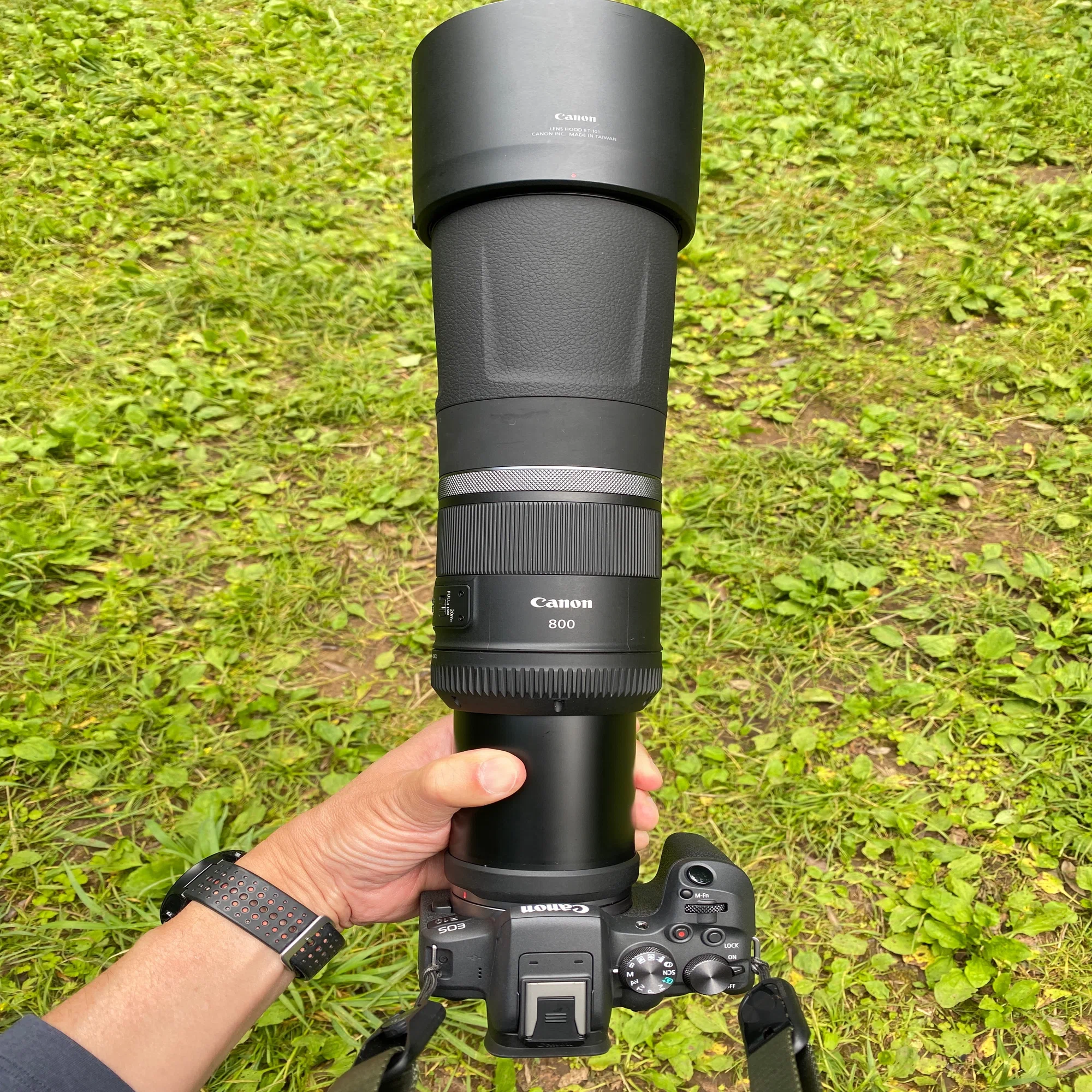 Canon RF800mm F11 IS STM 試写1回目 #2155｜RURI