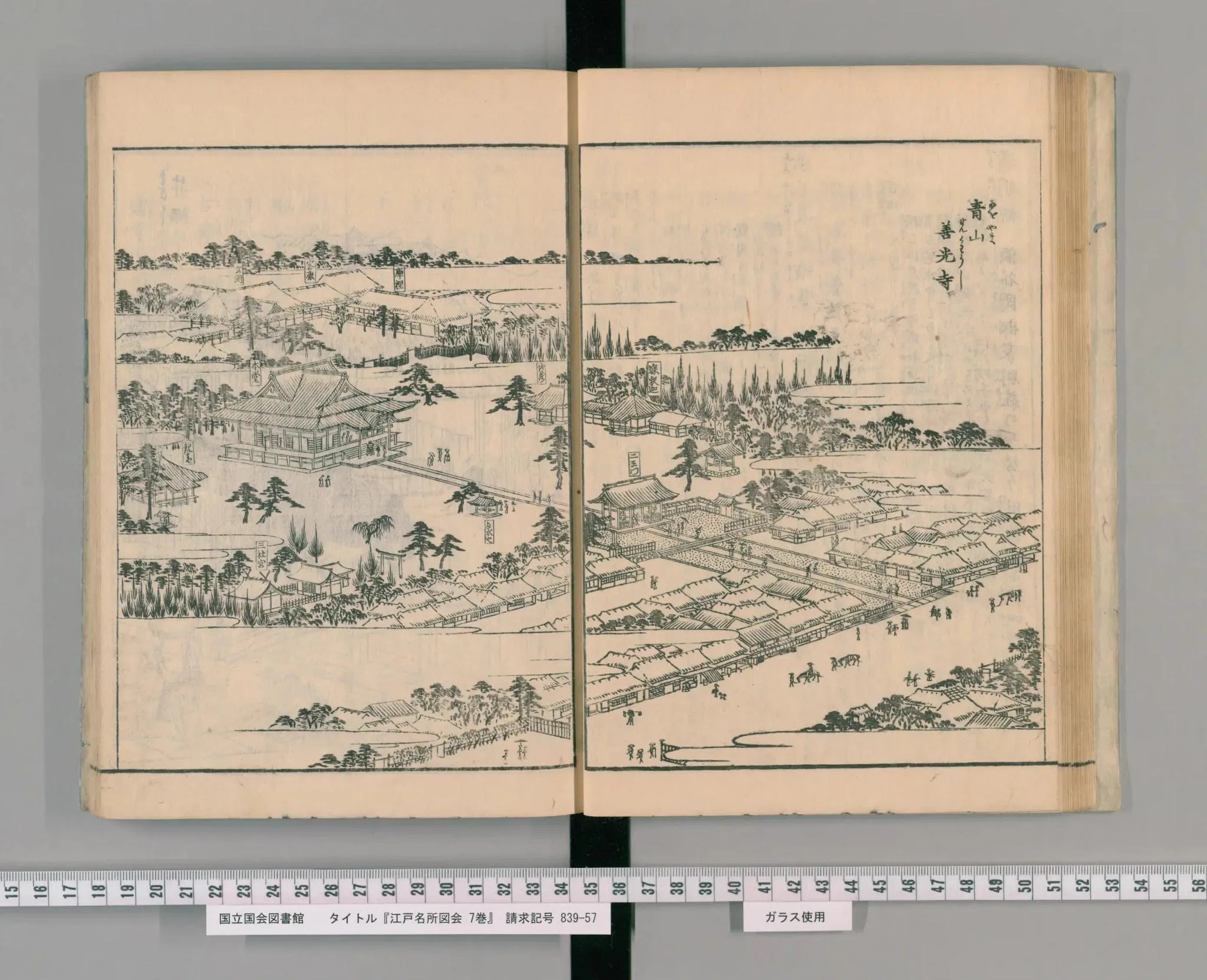 原宿の歴史 ① 1705年 江戸の名所「善光寺」｜渋谷のレコード屋の雑記