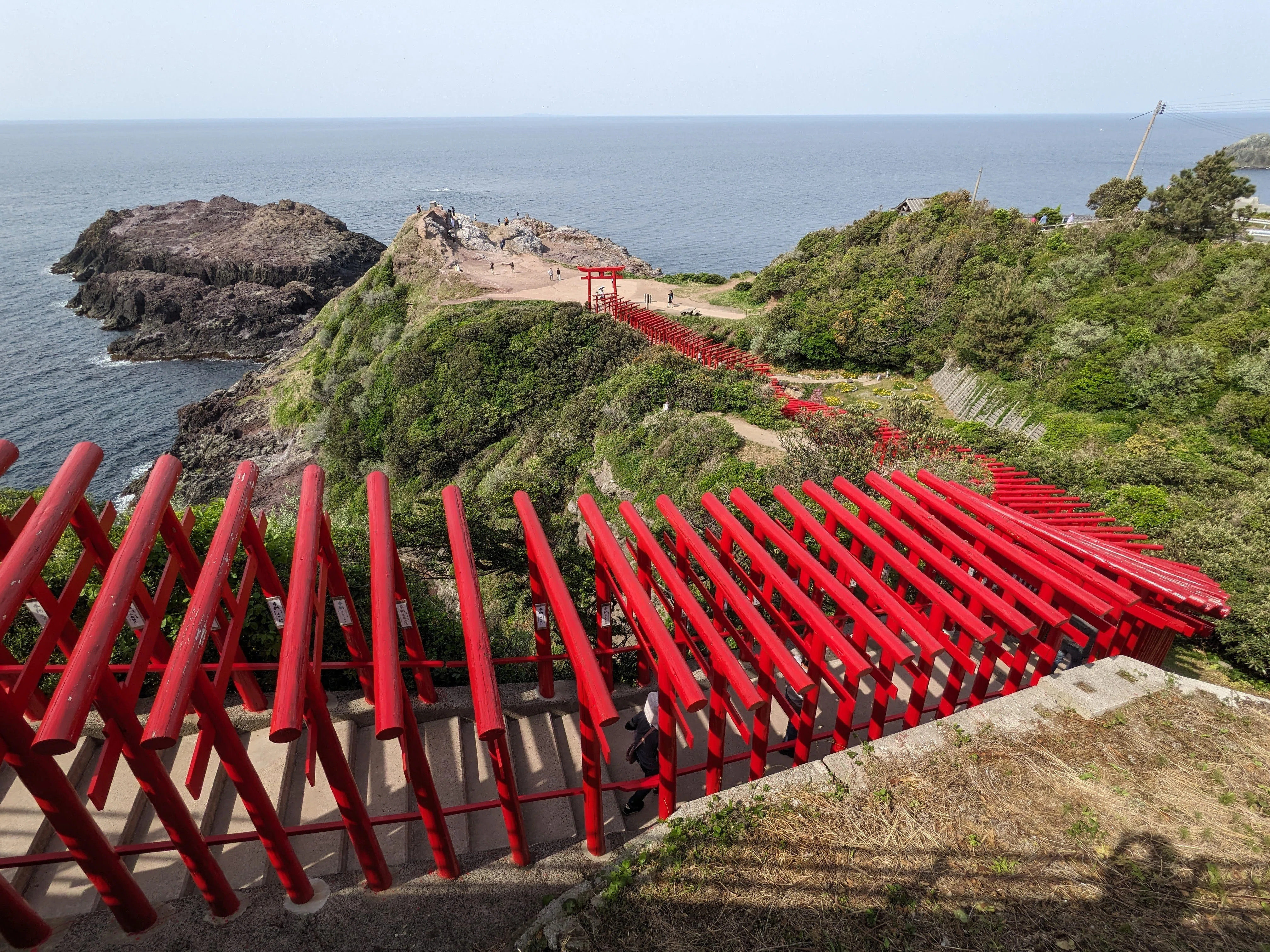 山口・秋芳洞と元乃隅神社で子どもとの思い出を作る1日旅ガイド｜そう