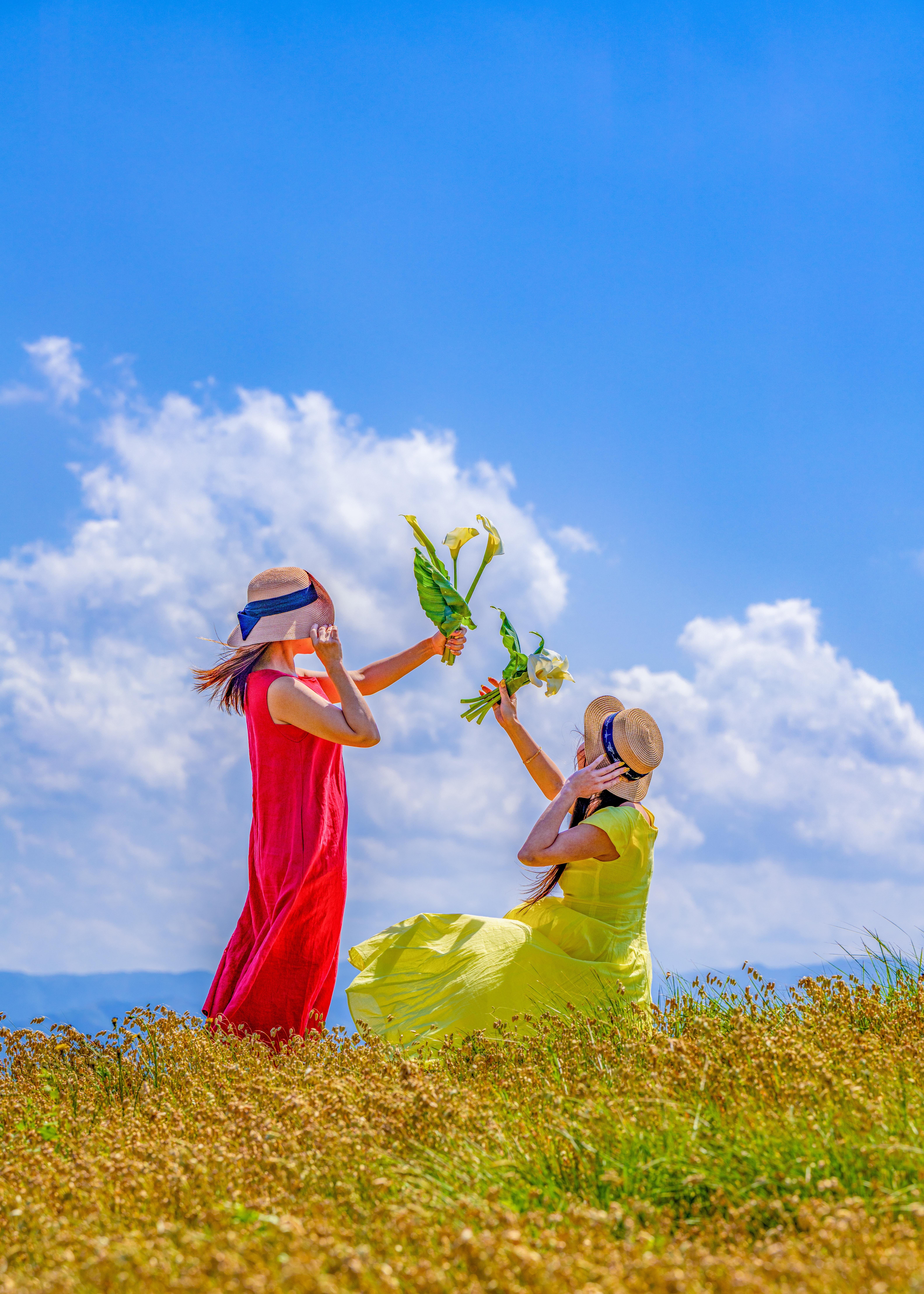 飛行機写真】TTJポートレート｜ミヤッチ・フォトクリエイティブ・ラボ