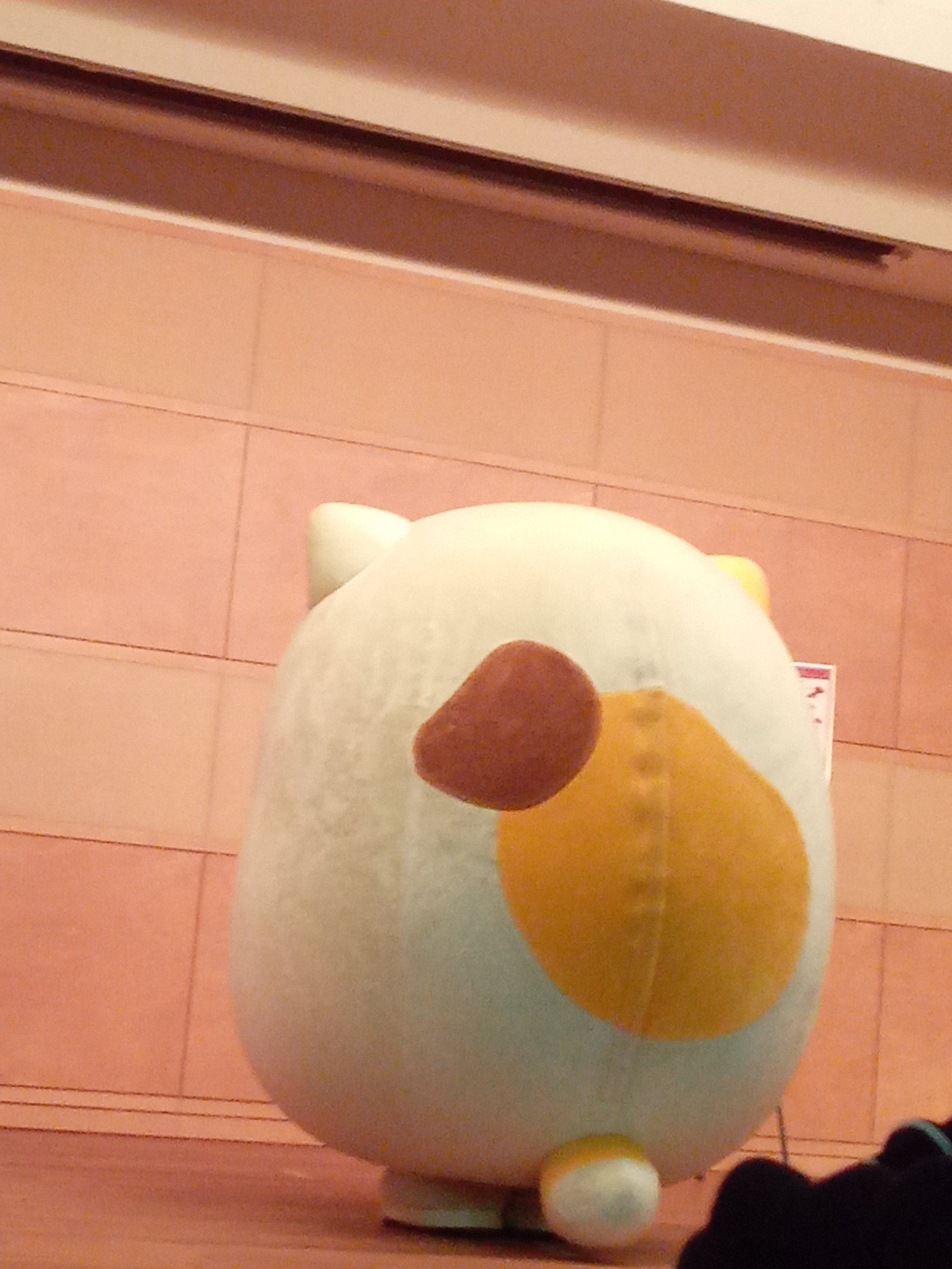 すみっコぐらし 国宝展 ねこ ぬいぐるみ 京都 美のるつぼ 奈良 博物館 すみっコぐらしがコラボ！ 特別展「日本、美のるつぼ」、特別展