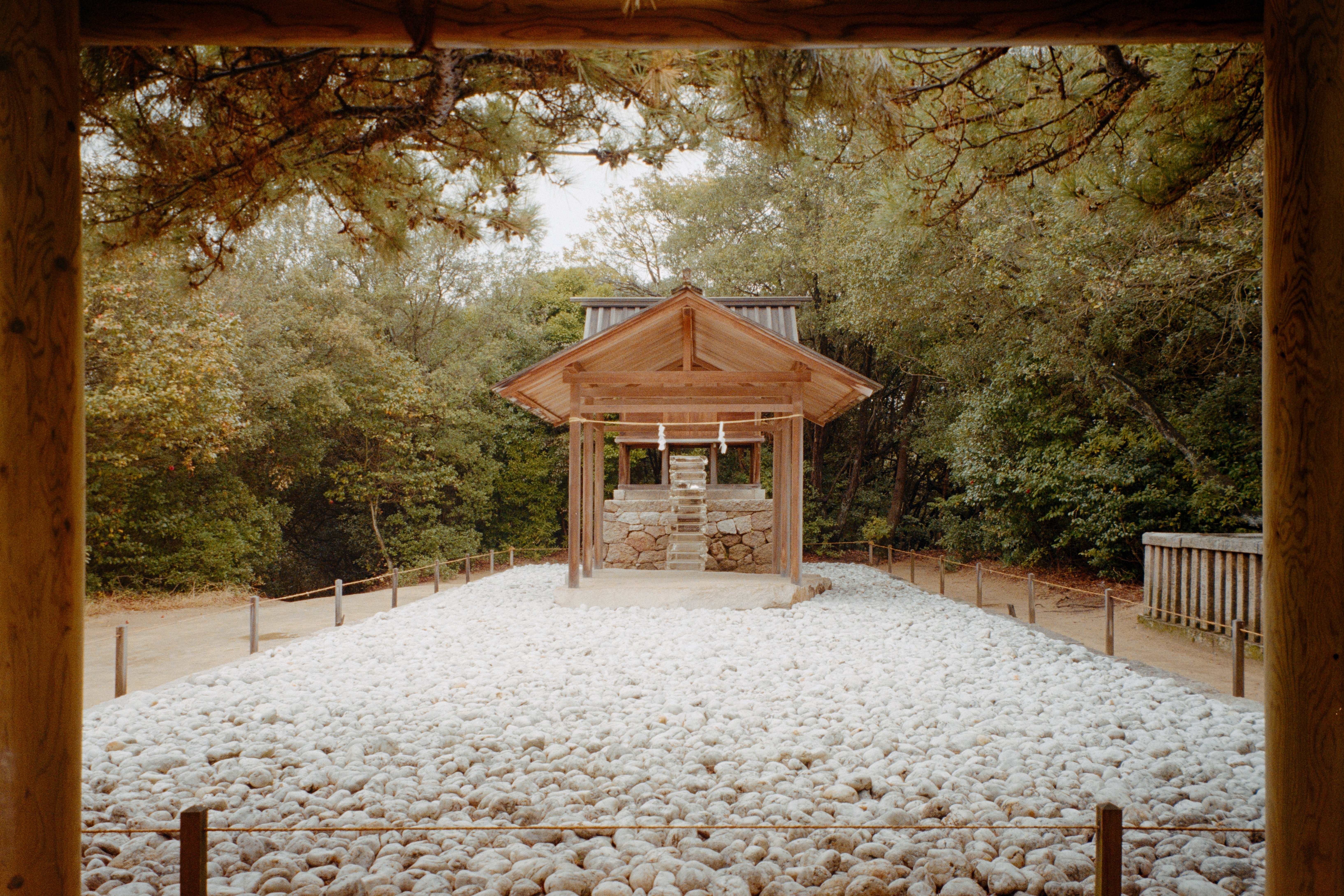 フィルムで歩く、春の直島。｜KodakとCineStill 400Dの旅記録｜Kenta