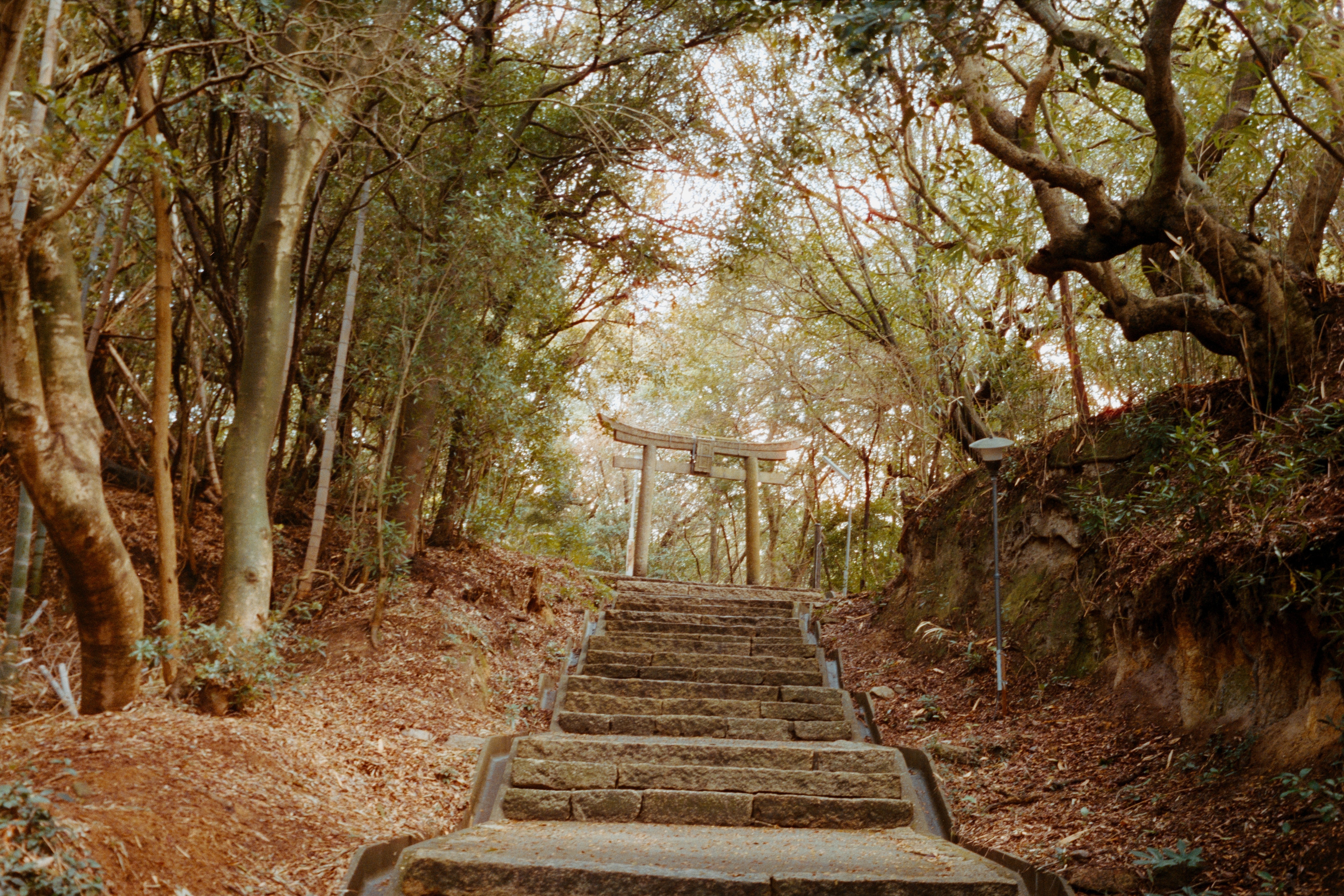 フィルムで歩く、春の直島。｜KodakとCineStill 400Dの旅記録｜Kenta