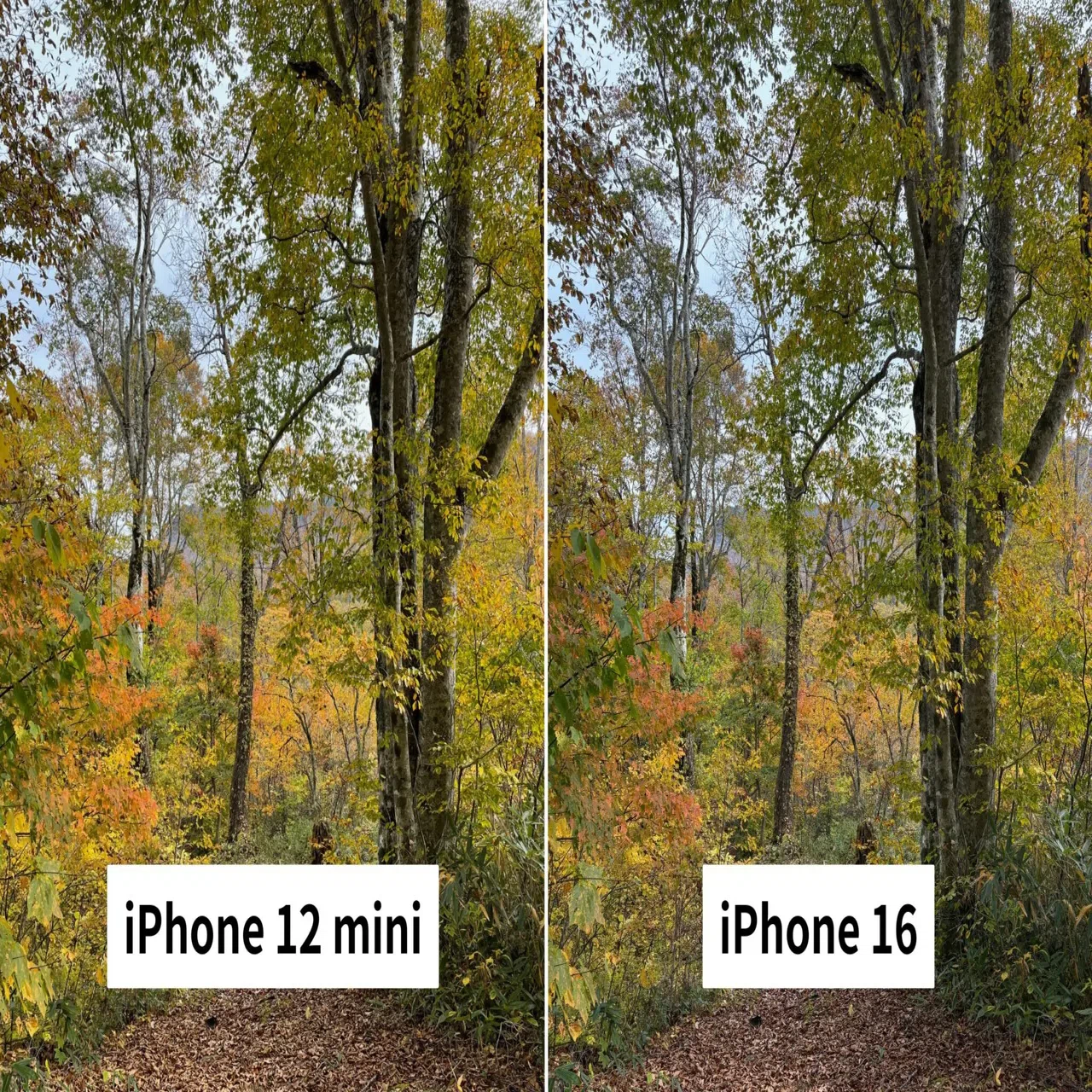 2025年にサブ機をiPhoneXs→iPhone12miniにしてみた！｜ガジェットと