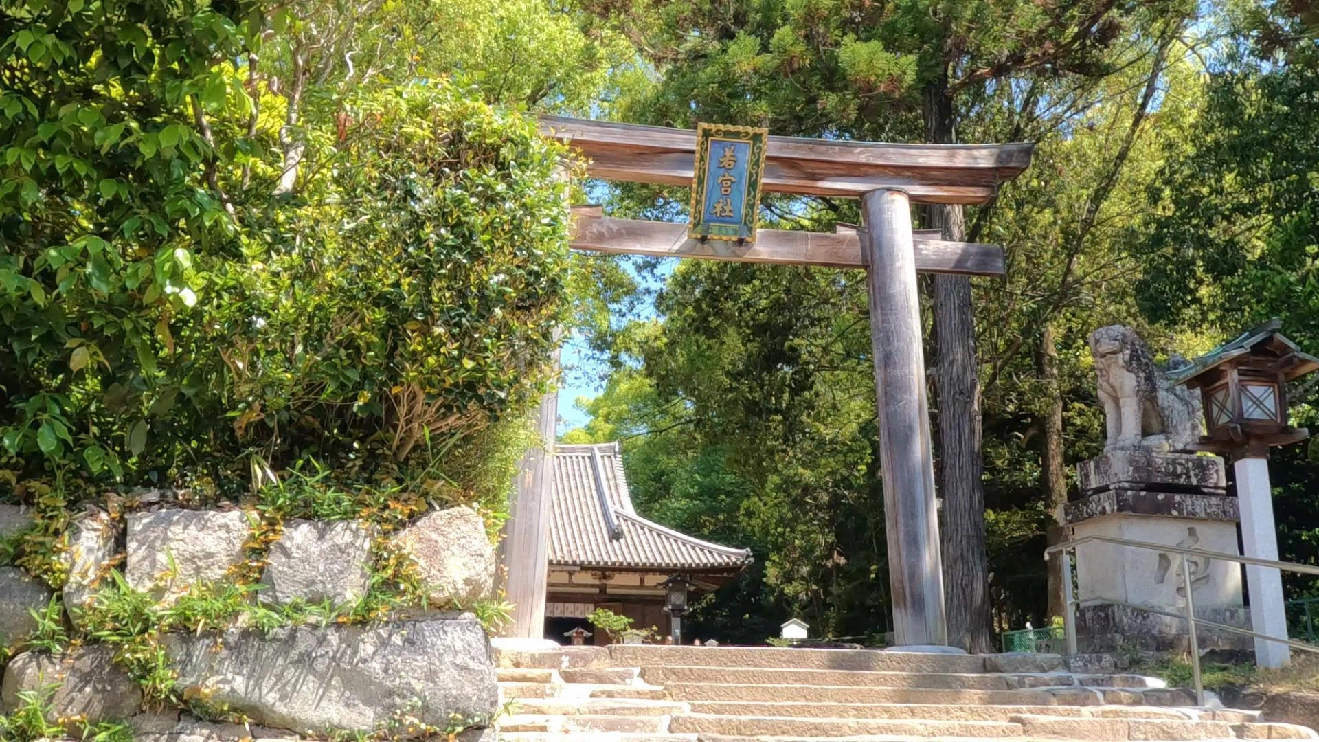 大田 田 根子