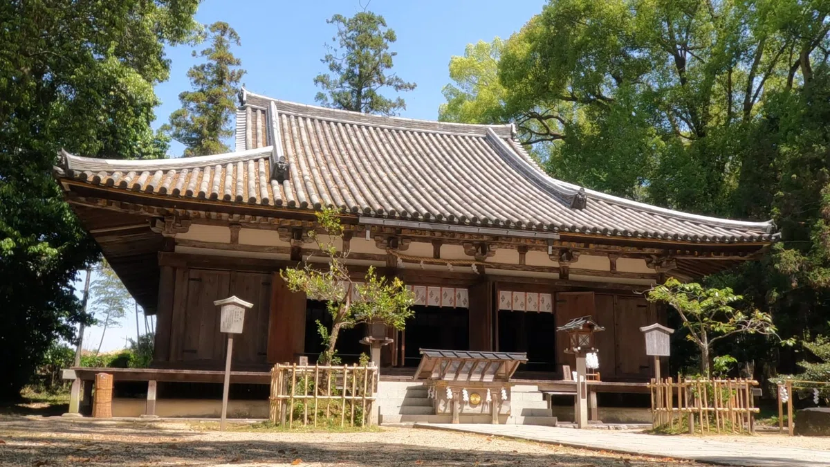大田 田 根子