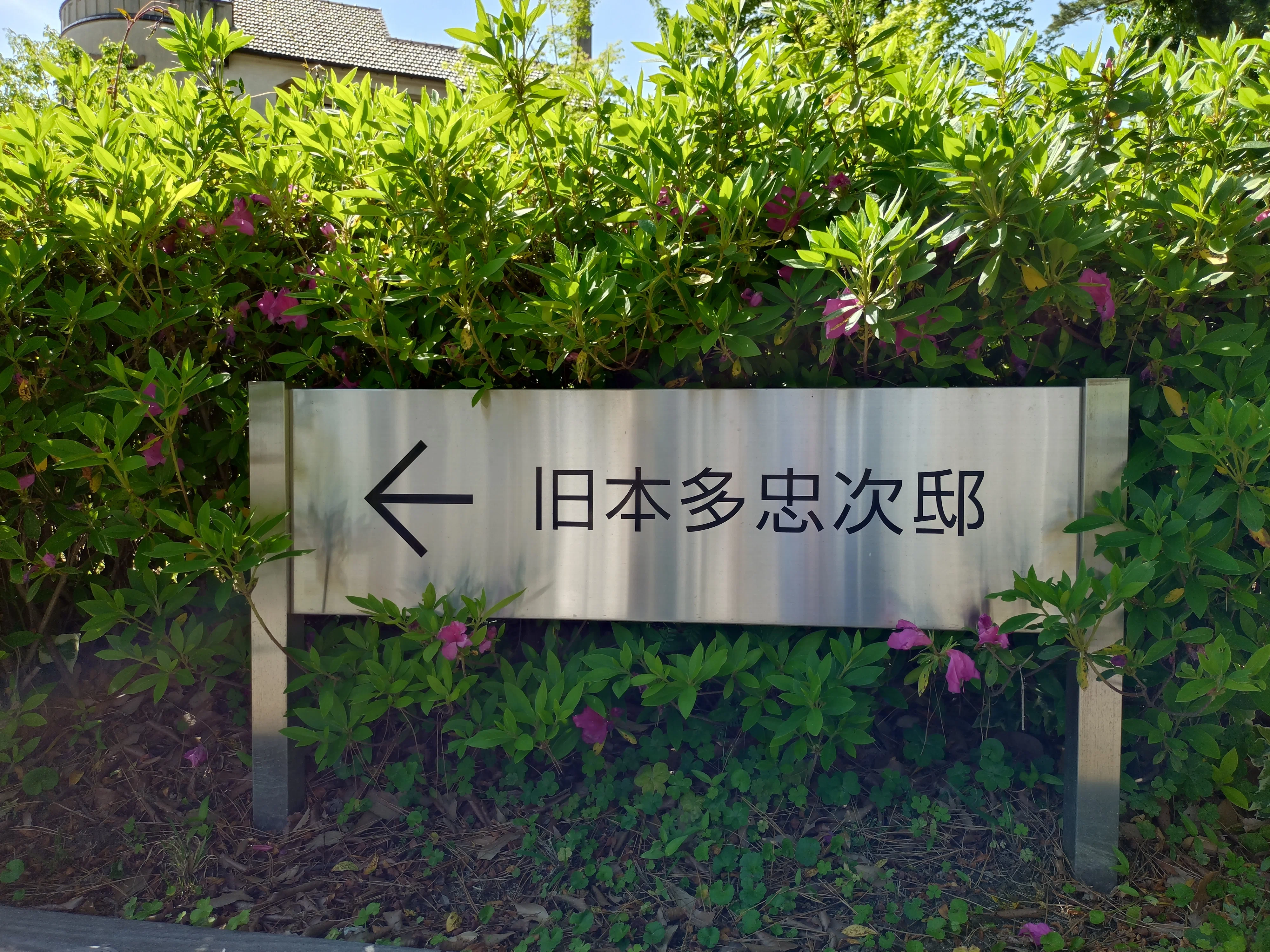 徳川じゃない松平家〜岡崎紀行〜｜東雲旭
