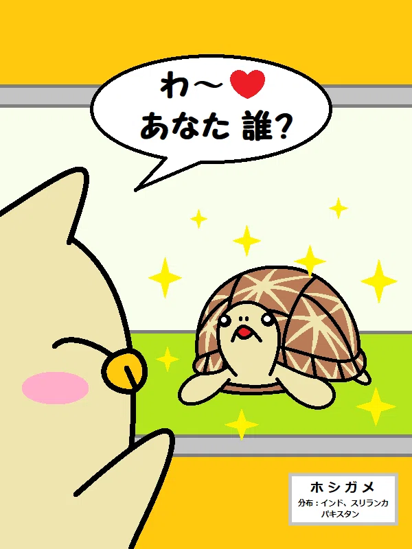 かめこと亀の話・その1｜浦干かめこ