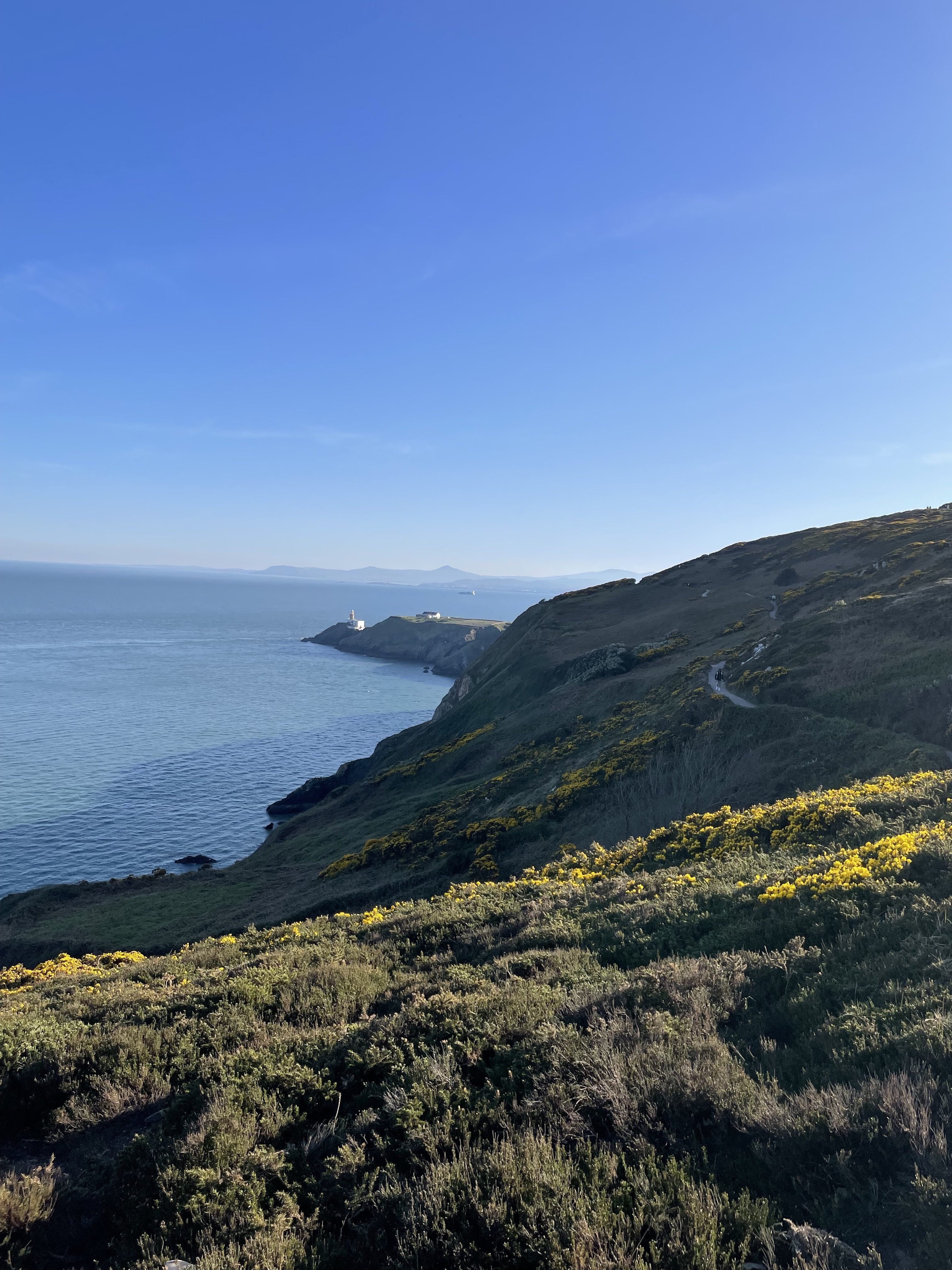 アイルランドの自然と岩｜くるんぷり
