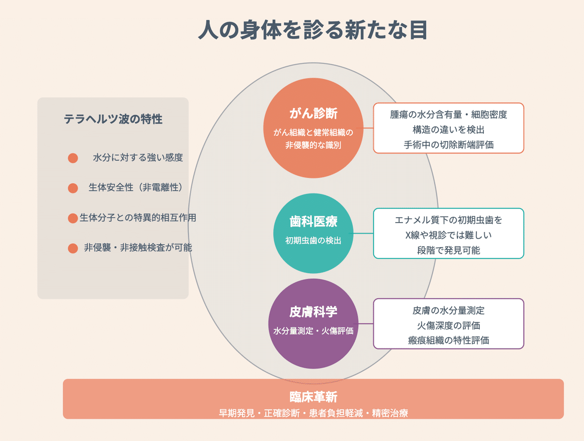 348「透視革命：テラヘルツ波が切り拓く「見えない世界」の扉」（探求
