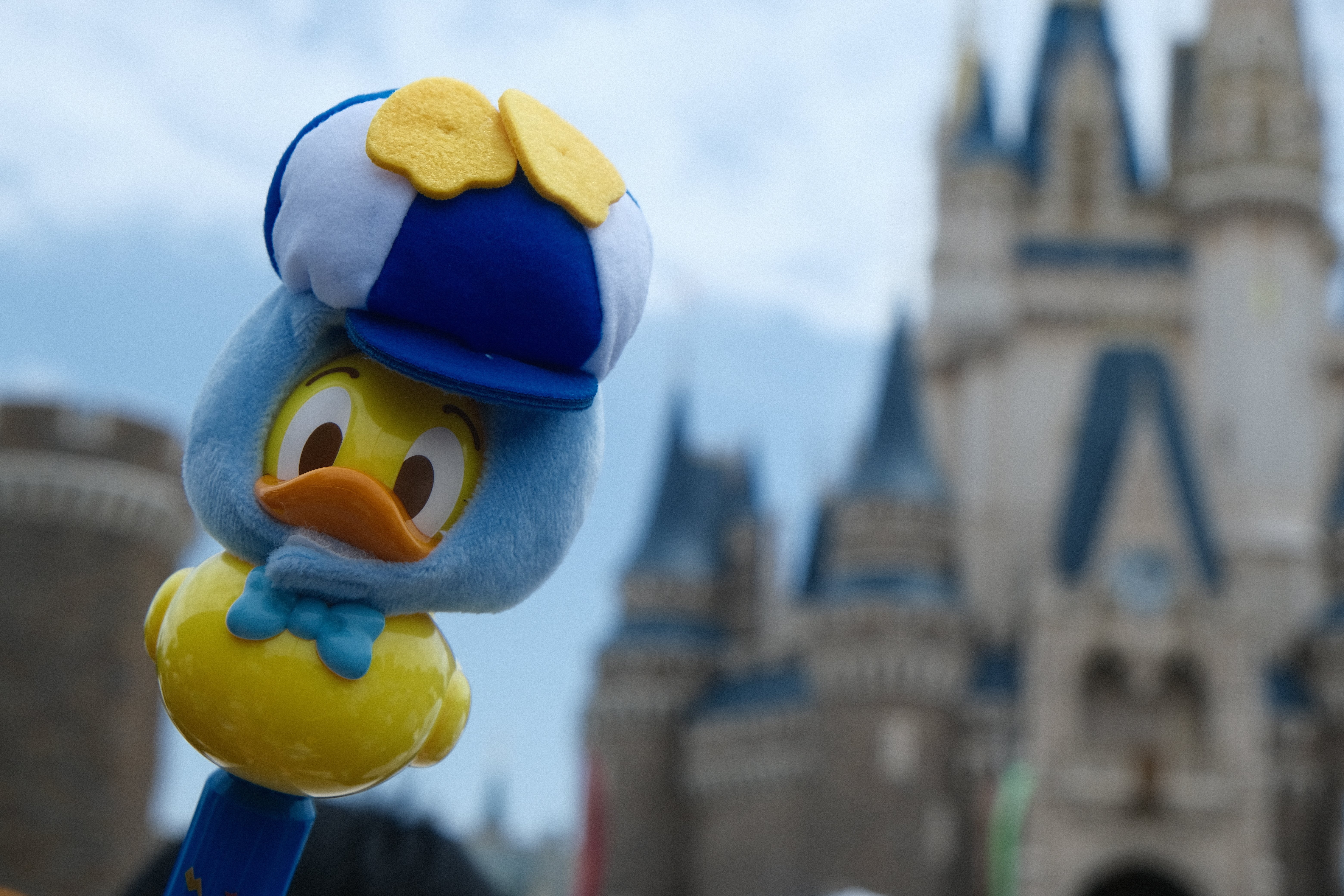 春のディズニーにカメラ2台持って行ってみた｜PhotoClef. | Yuz.