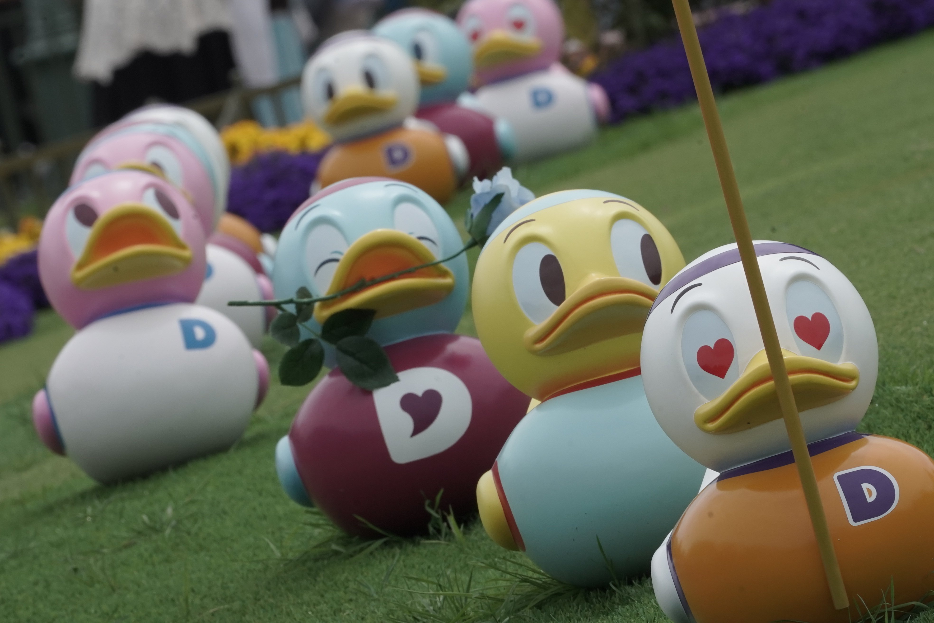 春のディズニーにカメラ2台持って行ってみた｜PhotoClef. | Yuz.