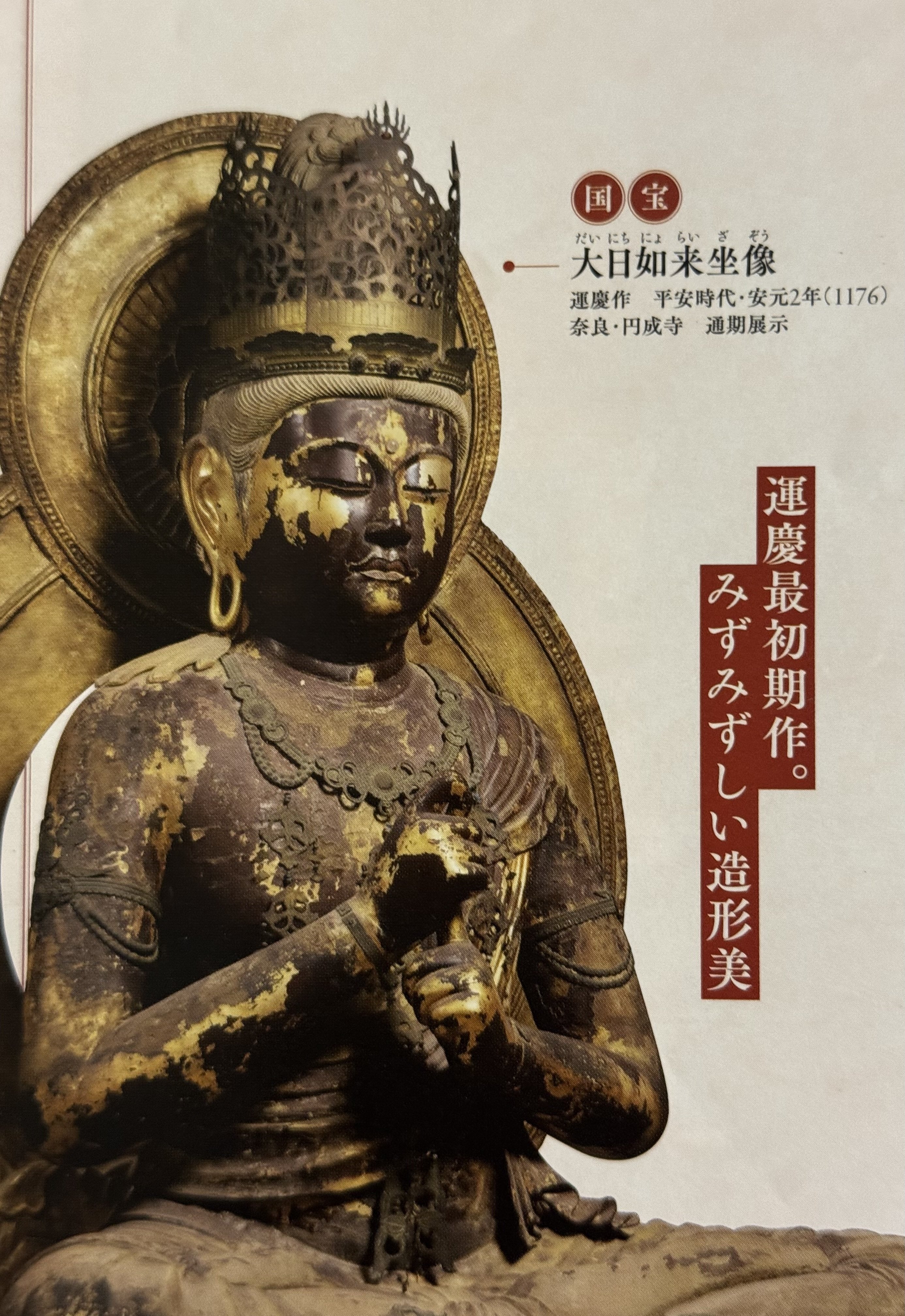 本日も奈良公園🦌超国宝展の巻｜しかのじょう