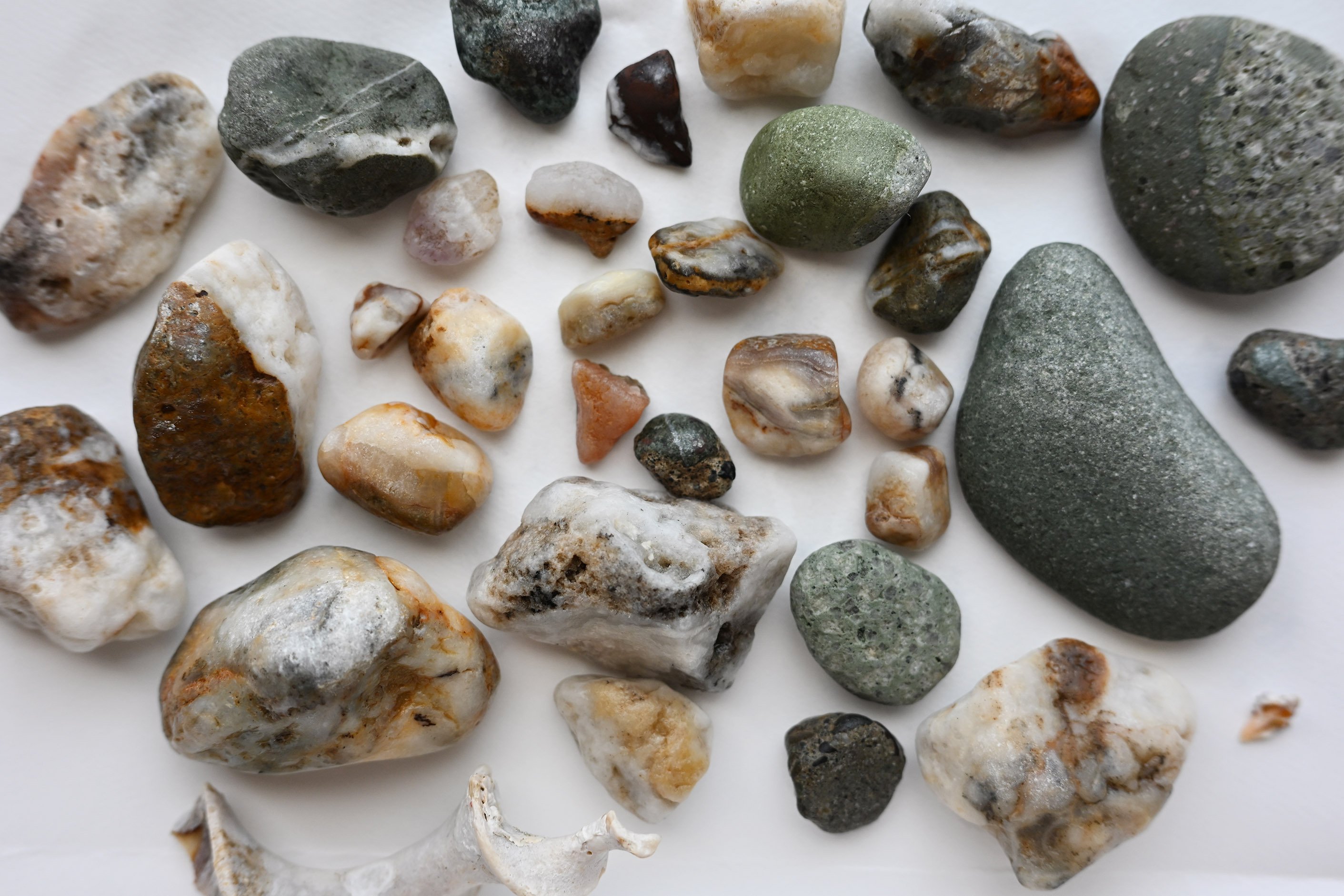 静岡へ石拾い｜水嶋みず