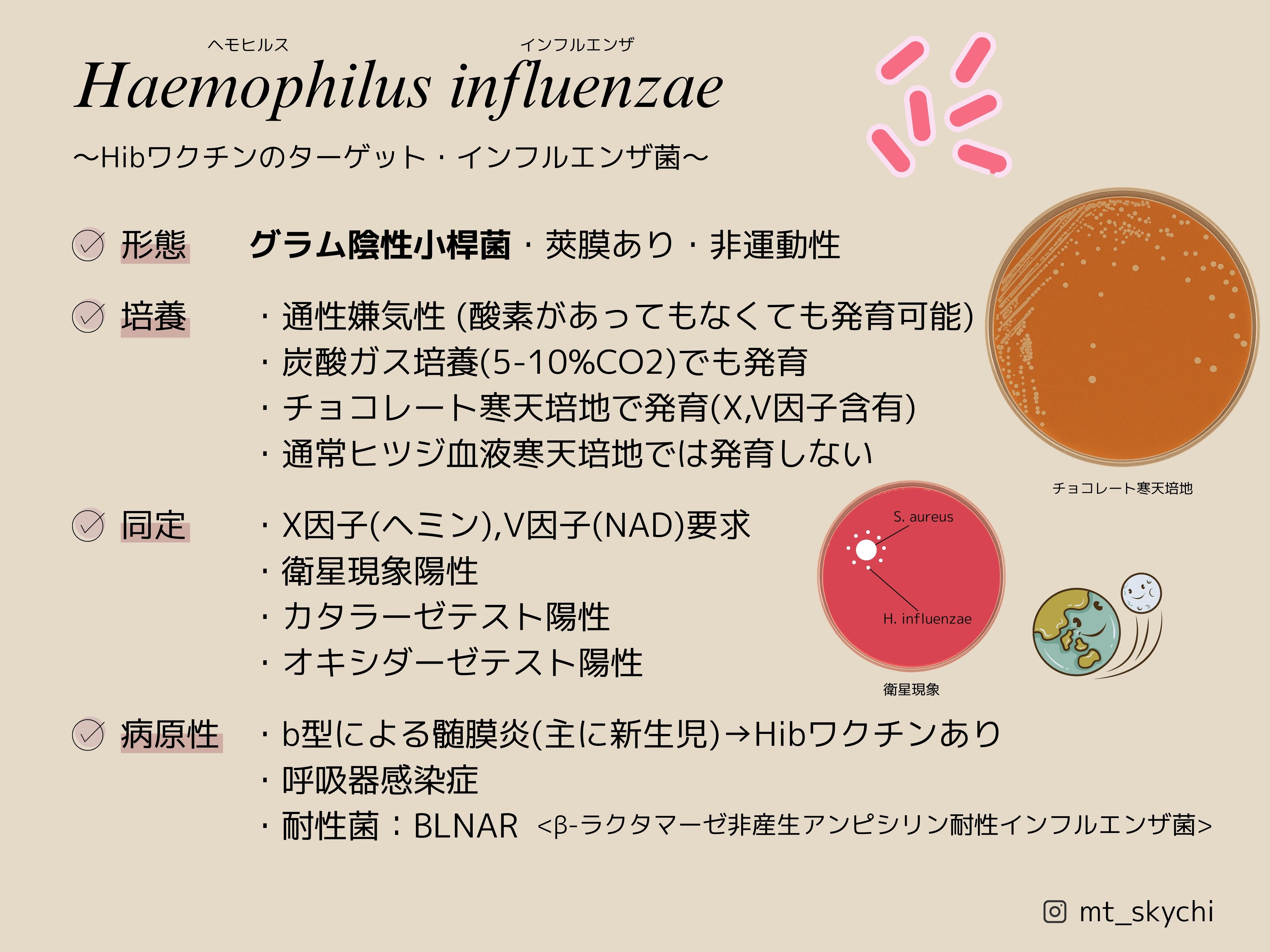 幅広い微生物検査を目指して―検出頻度は低いが医学的に重要な細菌・真菌感染症の検 幅広い微生物検査を目指して―検出頻度は低いが医学的に重要な