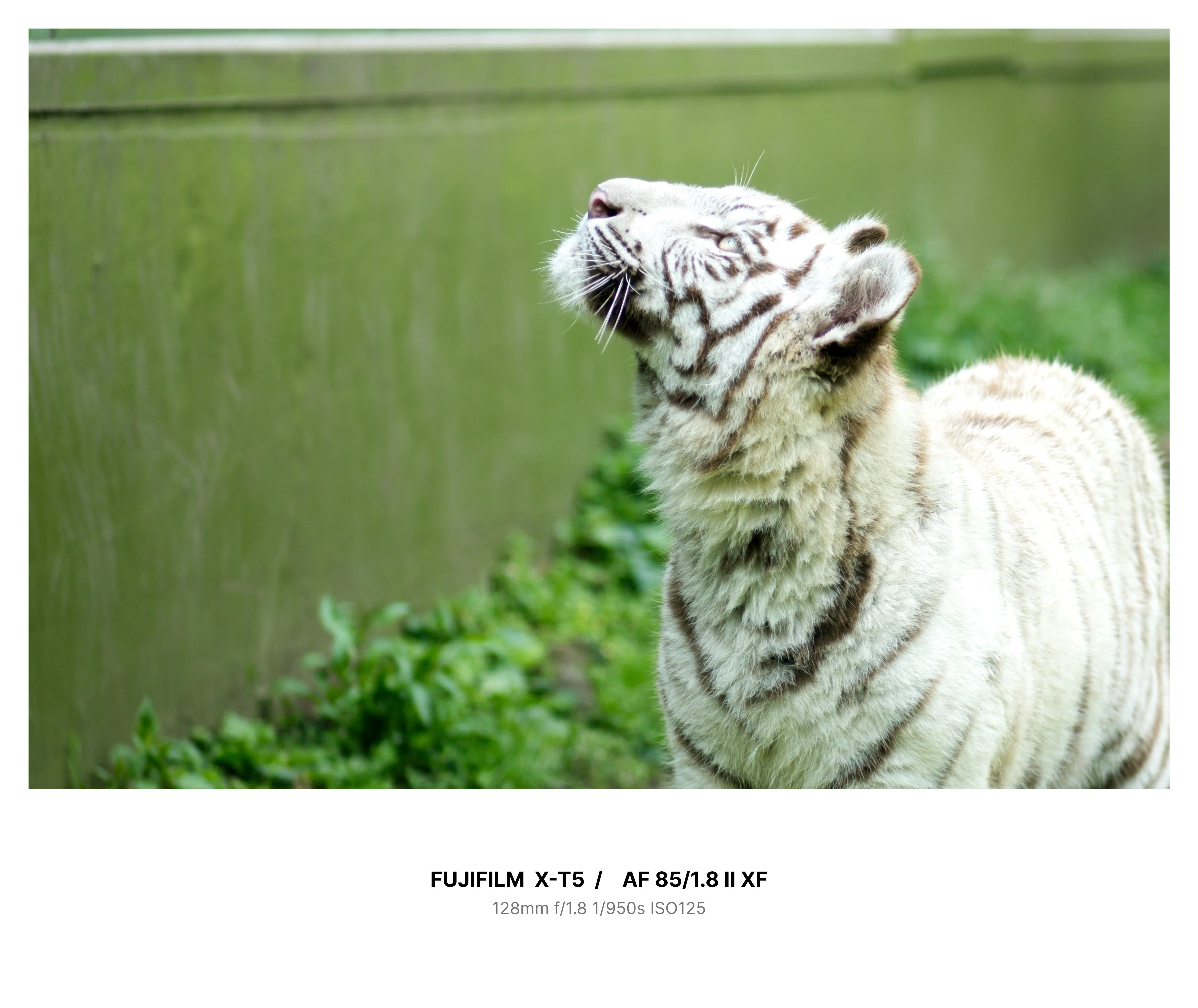 カメラと一緒に伊豆旅行 【X-T5 / NOKTON 35mm F1.2 / VILTROX AF85 F1