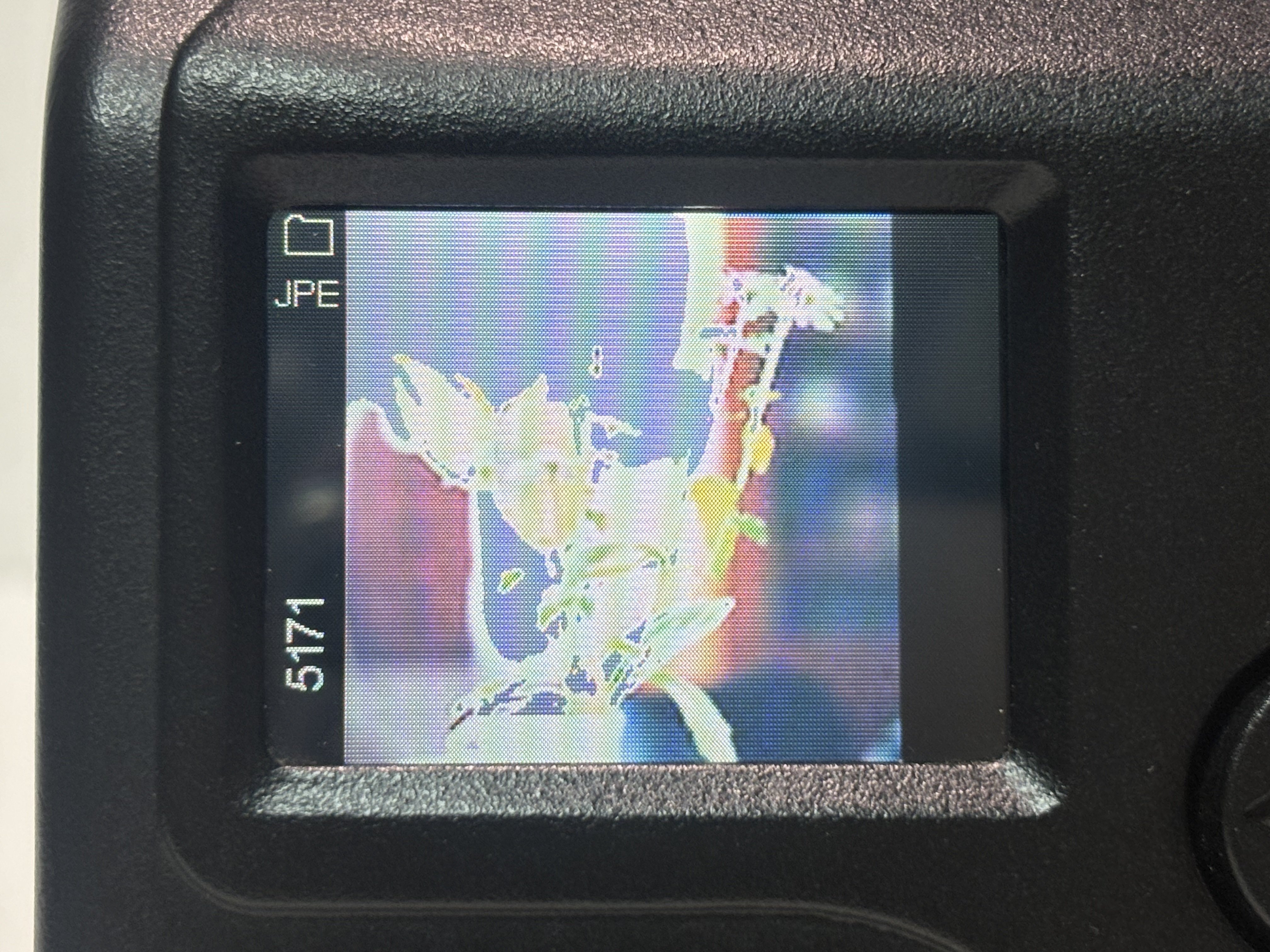 Kodak645で現像して比較してみる試み｜Takumi Ikeda