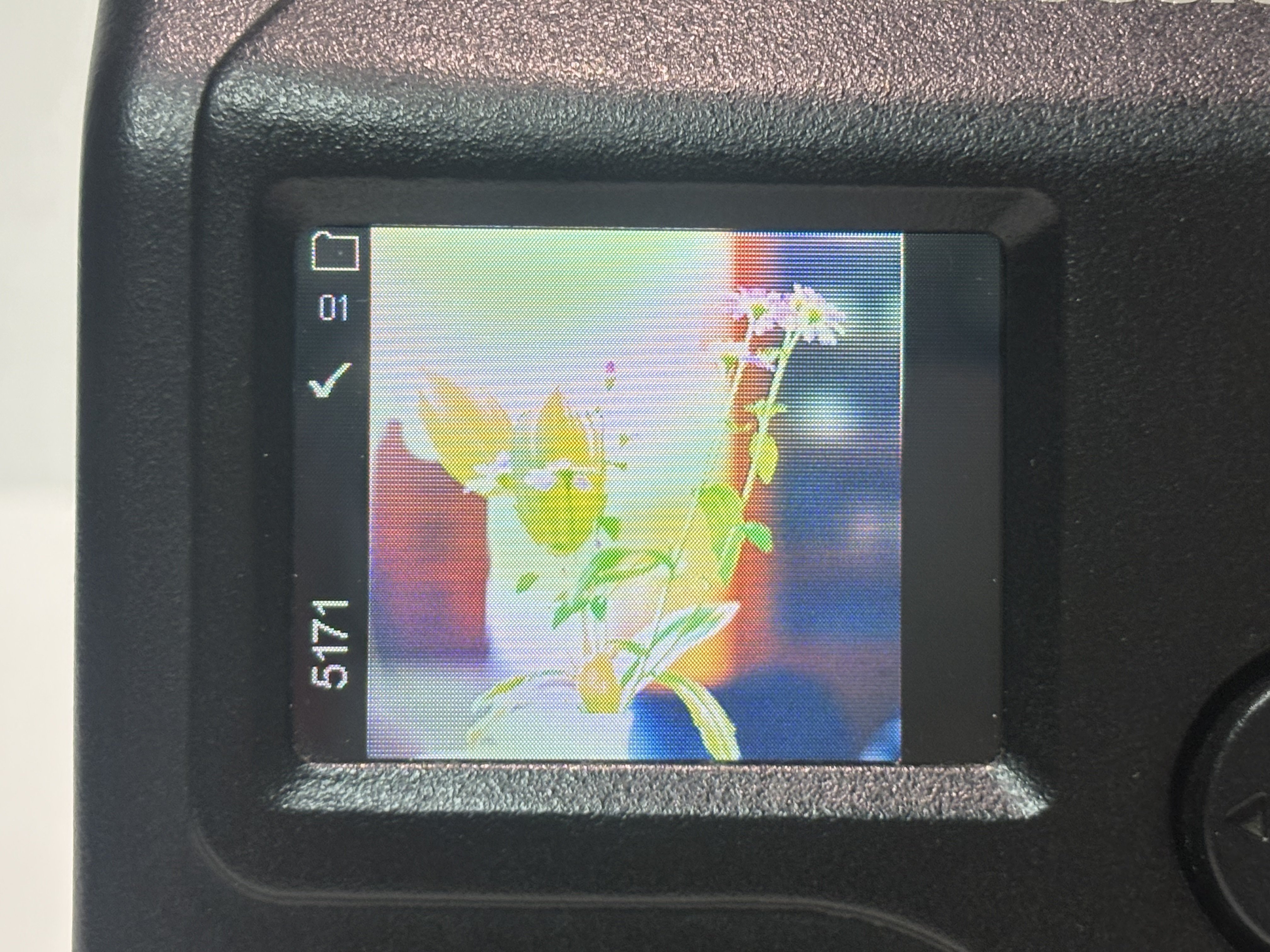 Kodak645で現像して比較してみる試み｜Takumi Ikeda