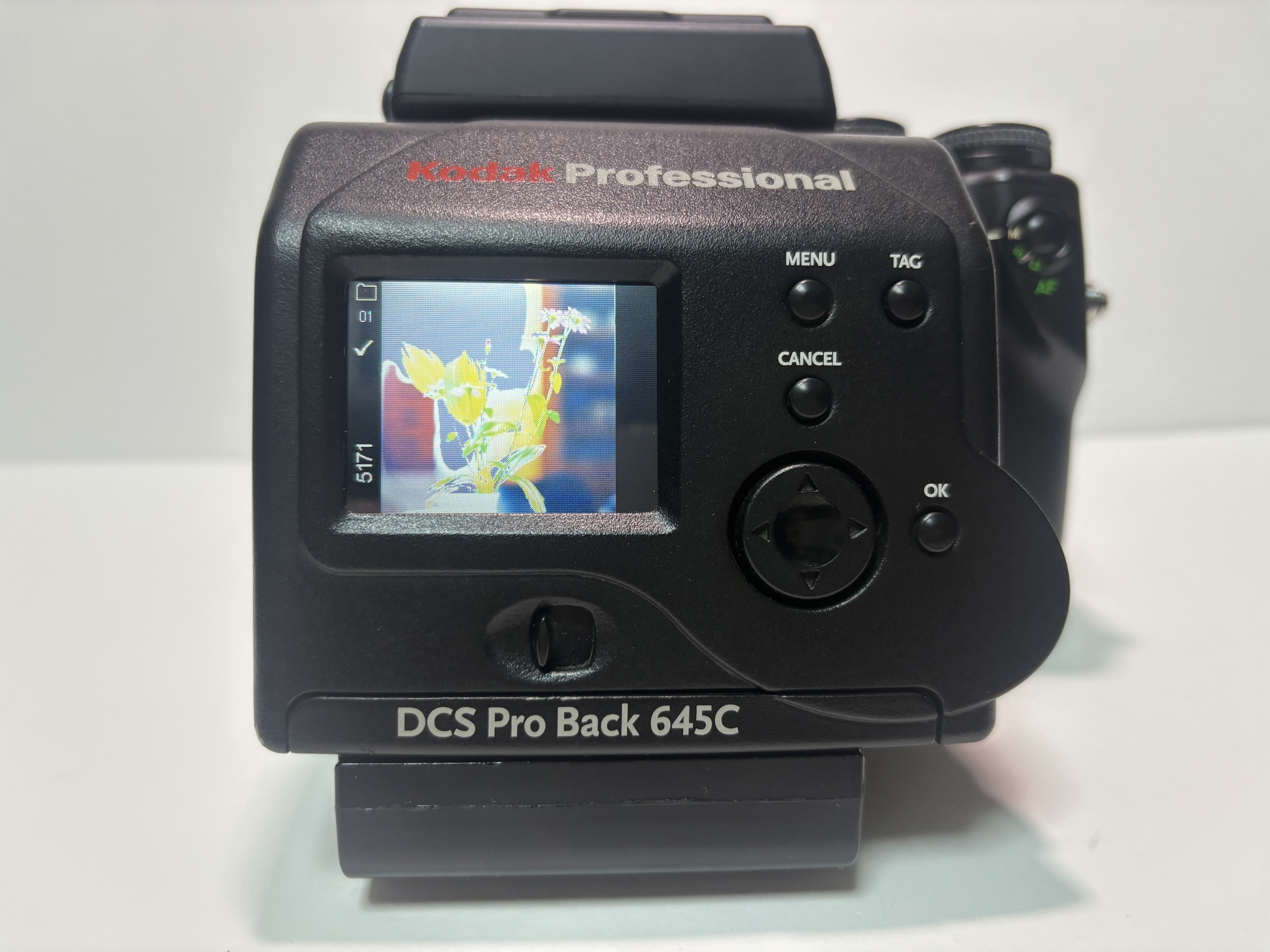 Kodak645で現像して比較してみる試み｜Takumi Ikeda