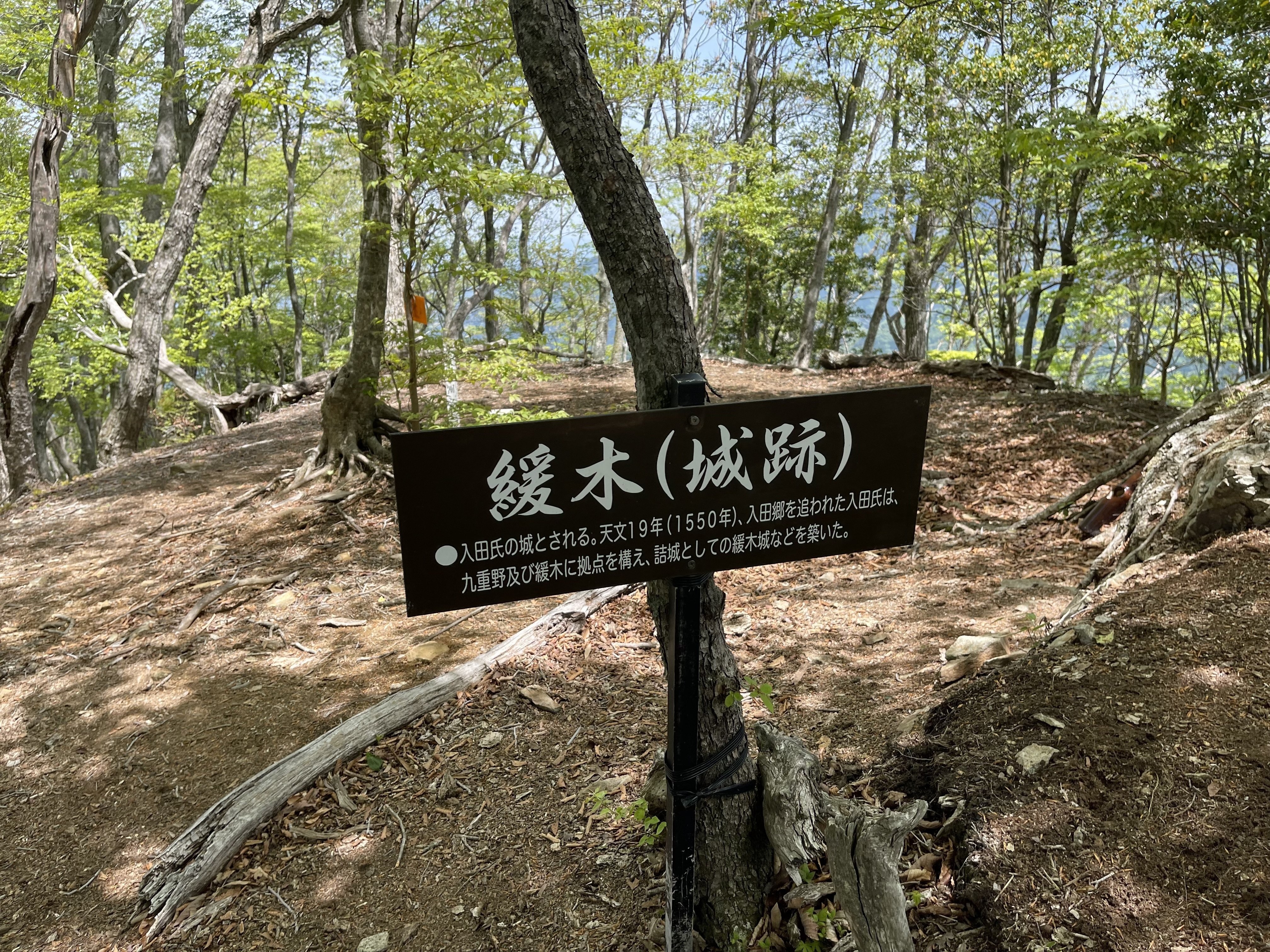 緩木山～越敷岳、祖母山に行ってきました♬｜ラリーグラス