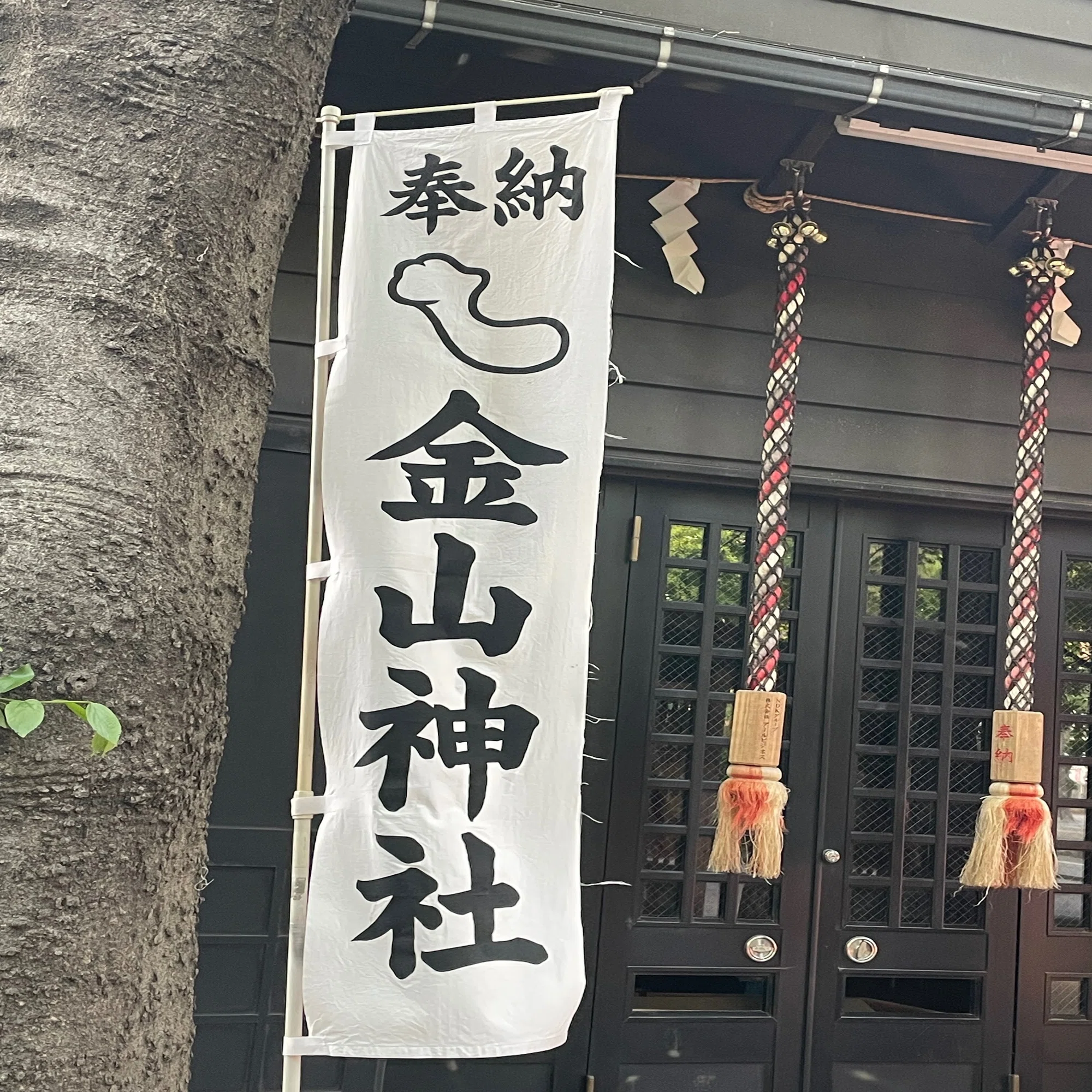 男根崇拝を追って。｜現代美術マン@28卒就活情報局?️?