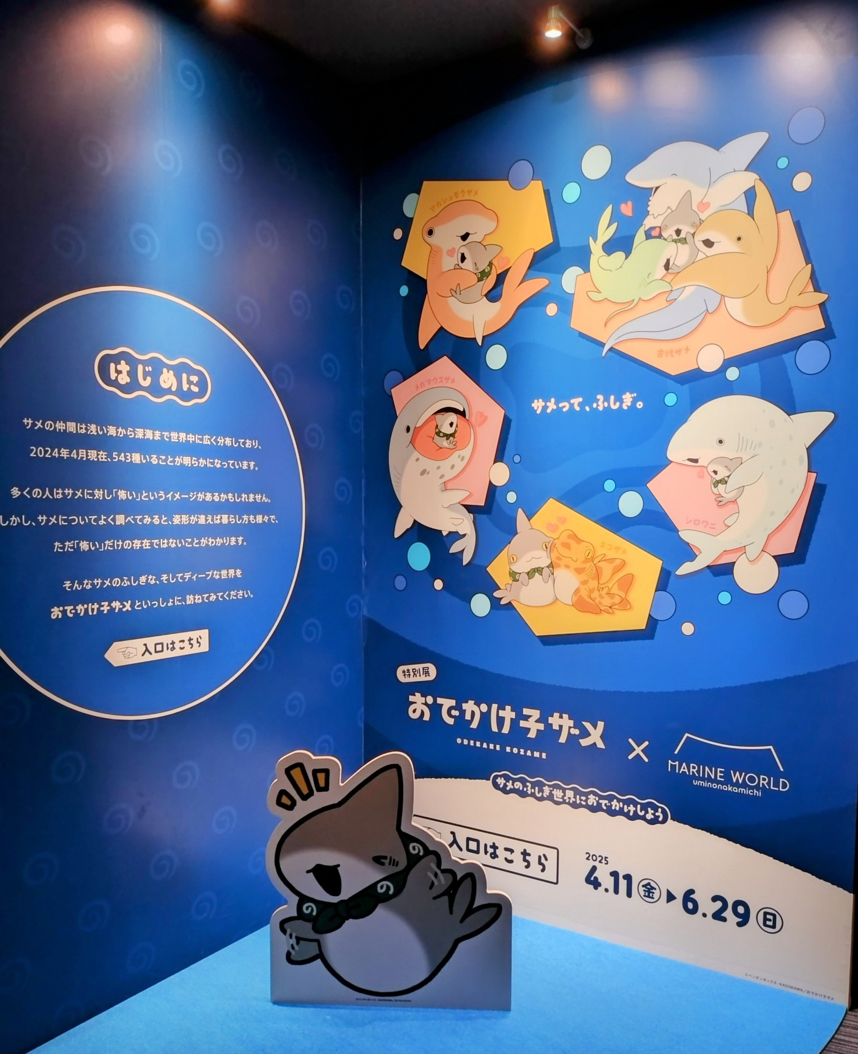 おでかけ子ザメちゃんinマリワ｜CarryFlower