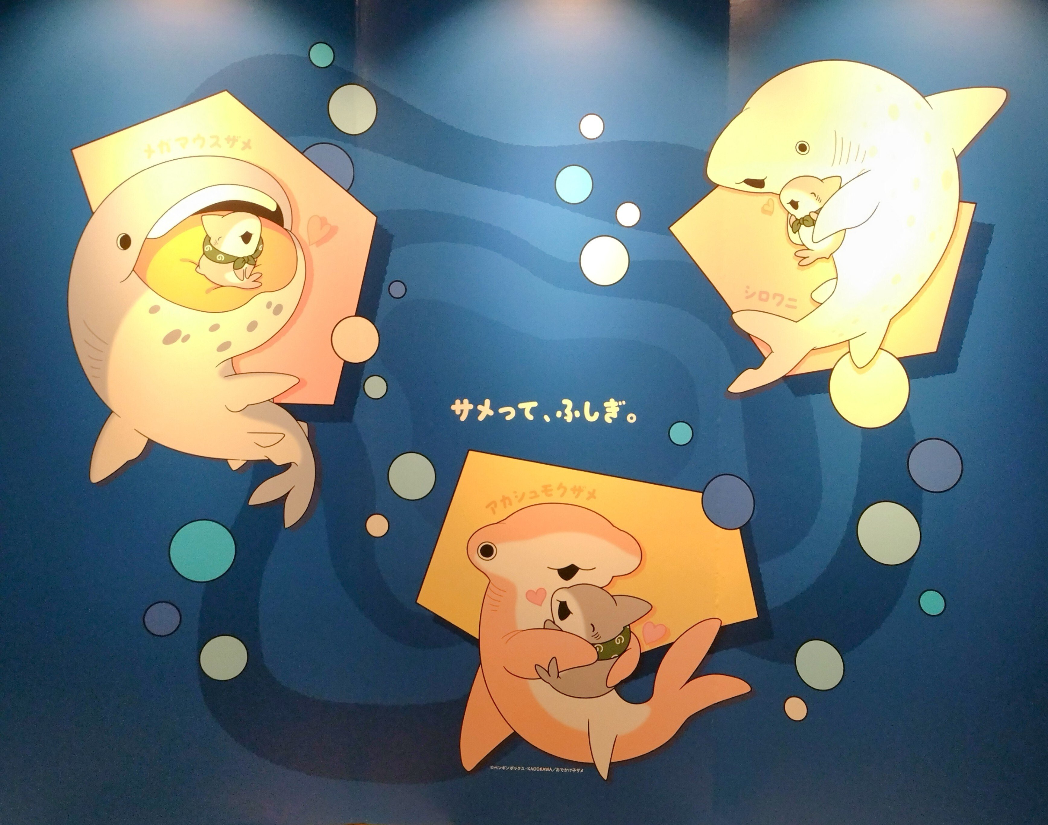 おでかけ子ザメちゃんinマリワ｜CarryFlower