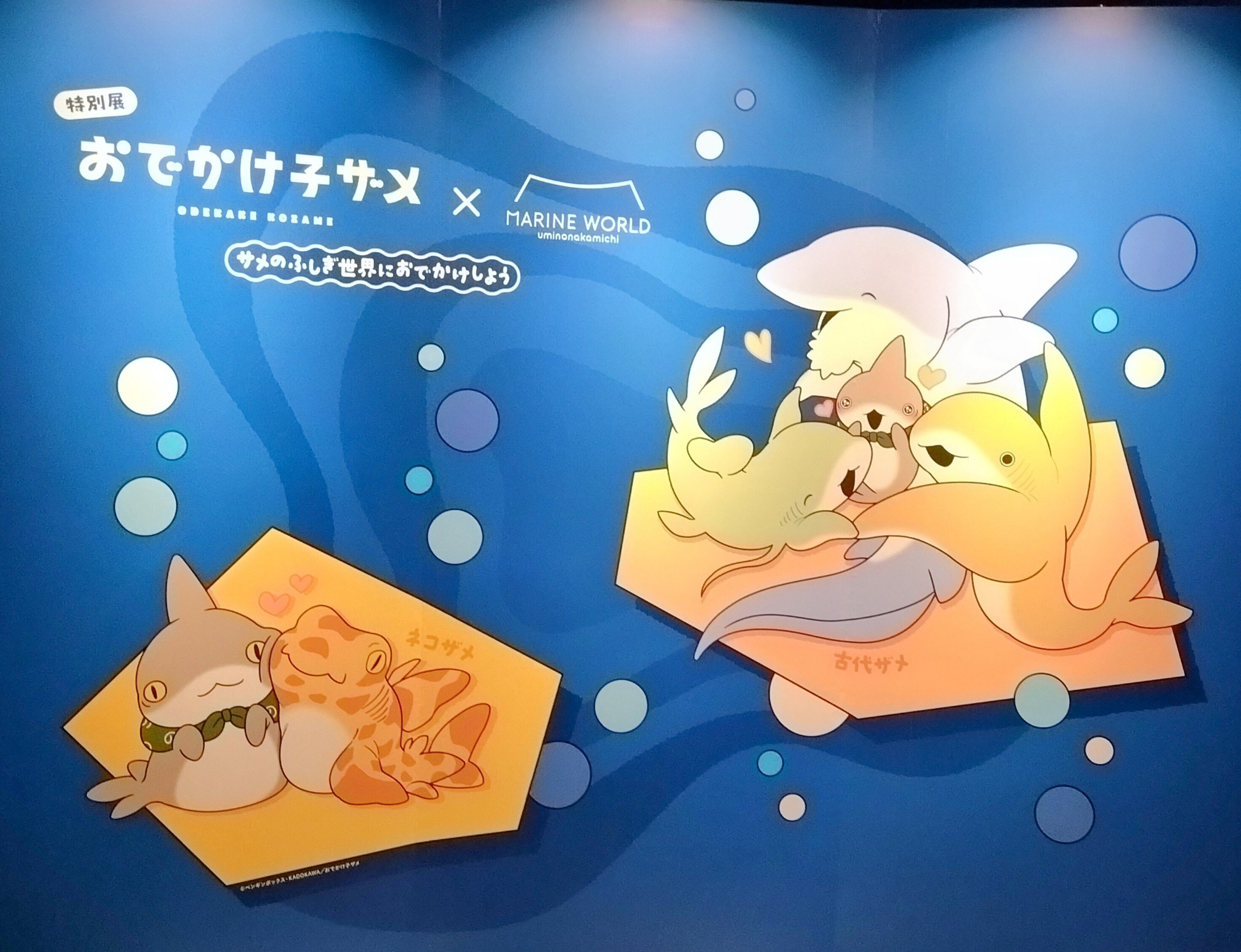 おでかけ子ザメちゃんinマリワ｜CarryFlower