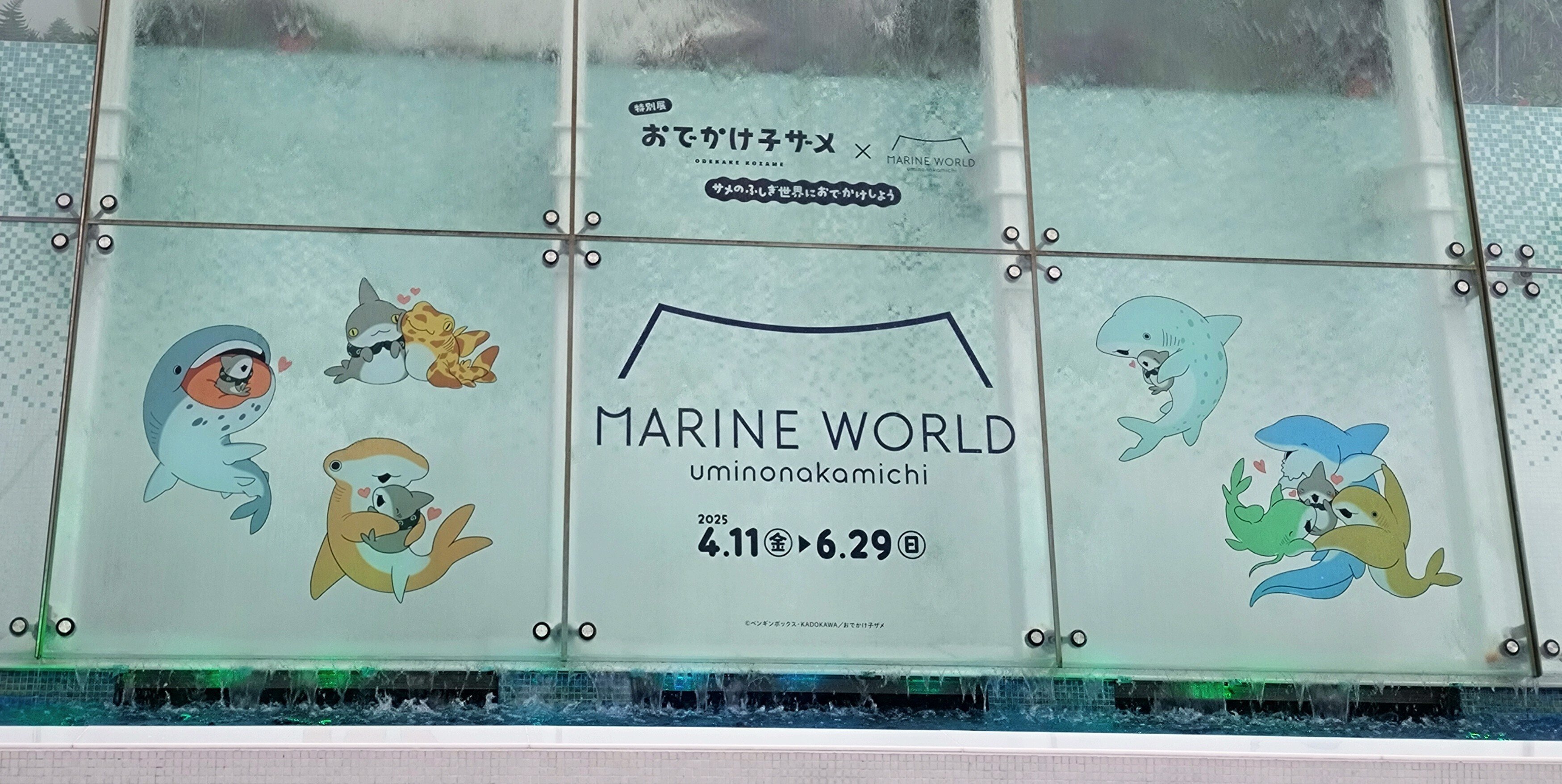 おでかけ子ザメちゃんinマリワ｜CarryFlower