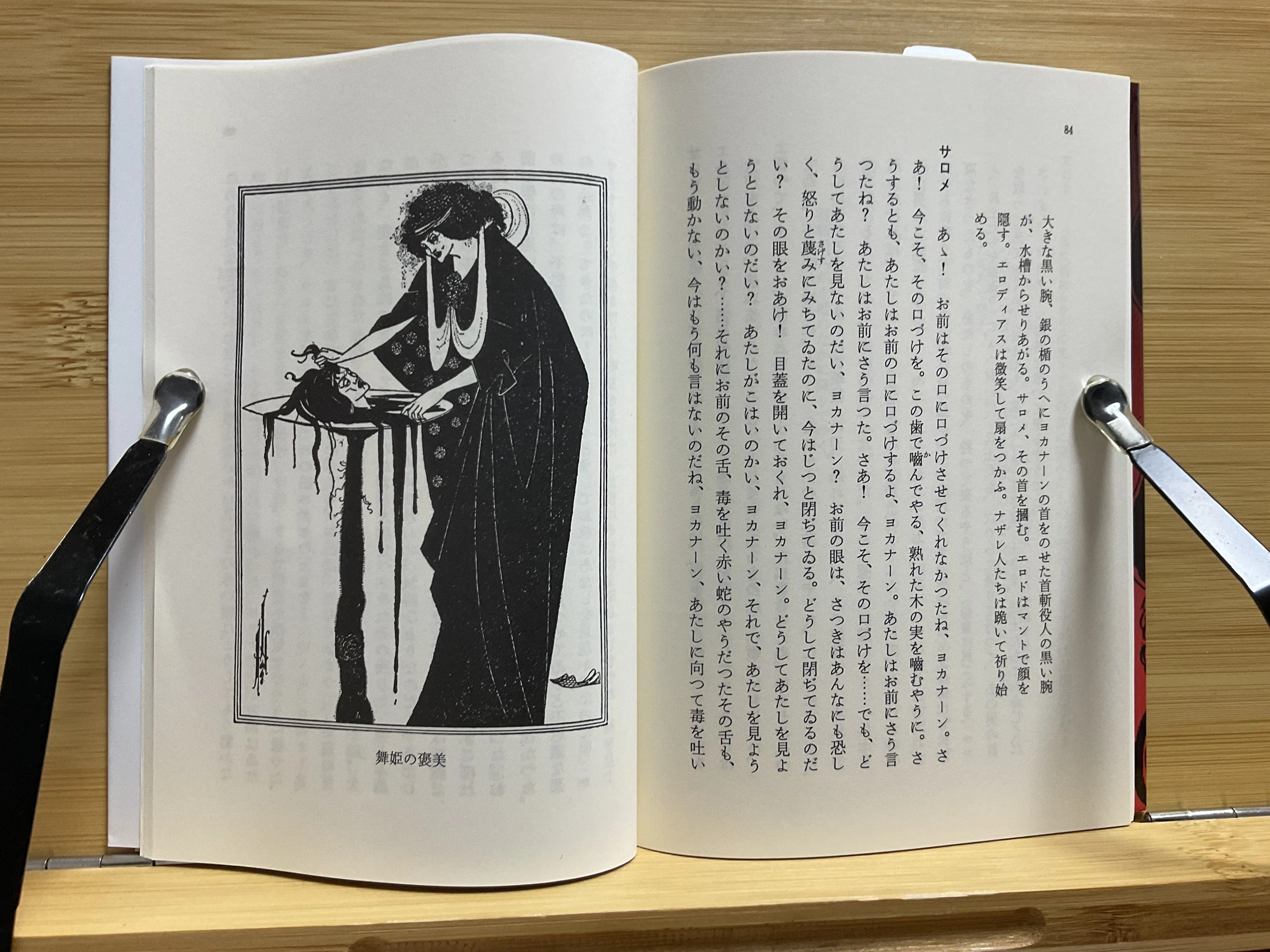 エッセイ623．岩波文庫のあれで読む「サロメ」｜ガラパゴス諸島から