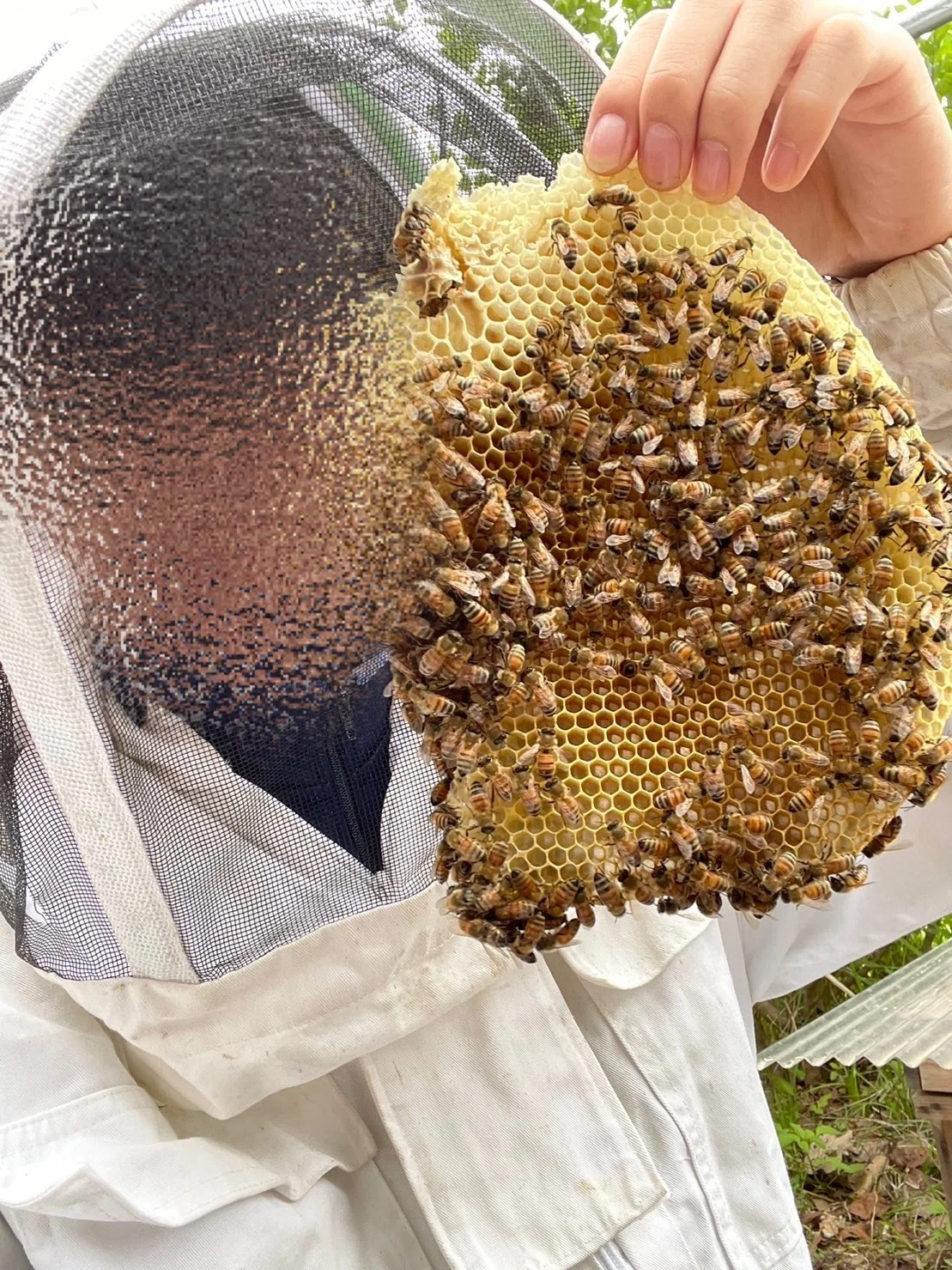養蜂場ができるまで🐝｜駆け出しの養蜂家🐝