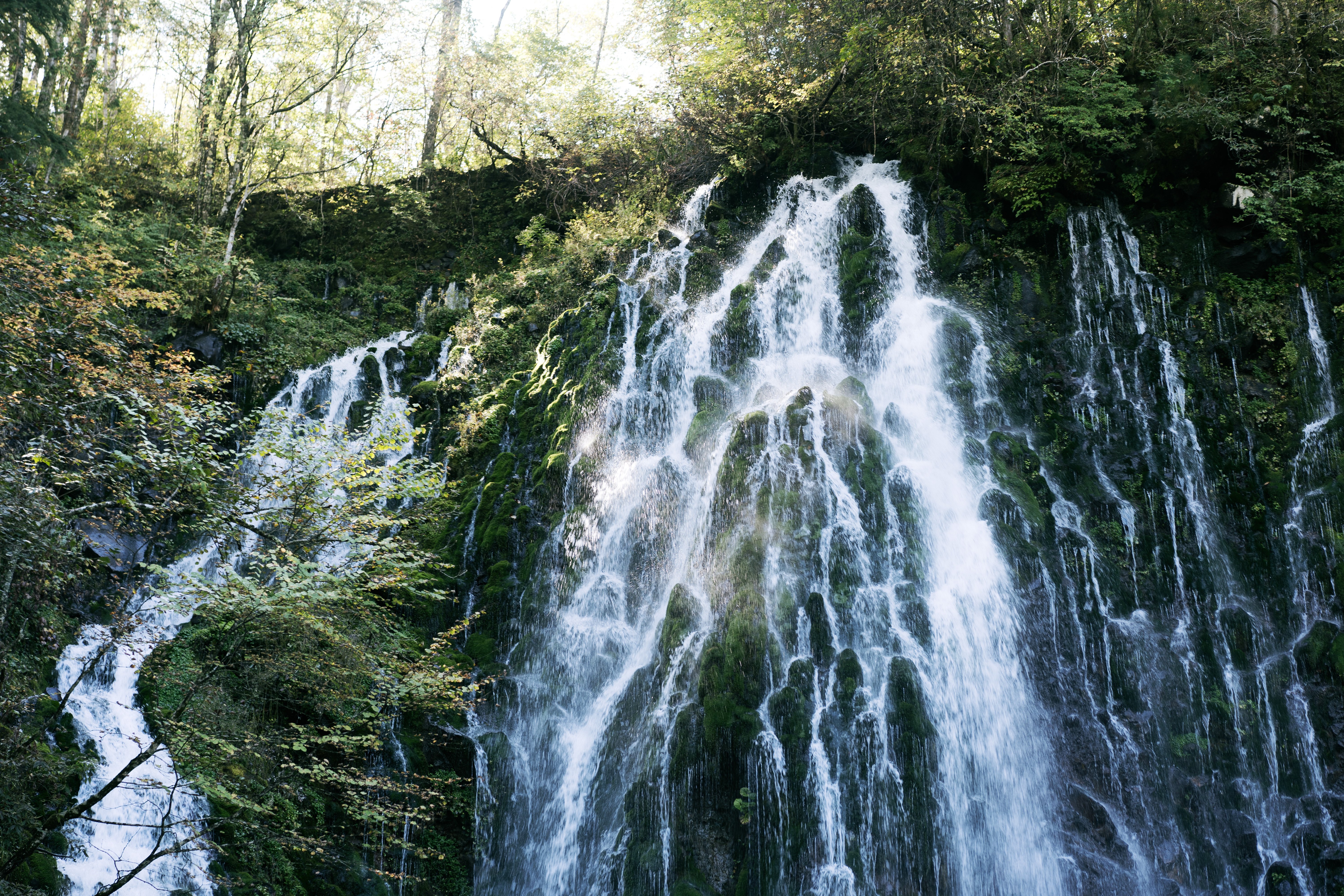 ネパールのトレイルから信飛トレイルのあり方を考える｜信飛トレイル