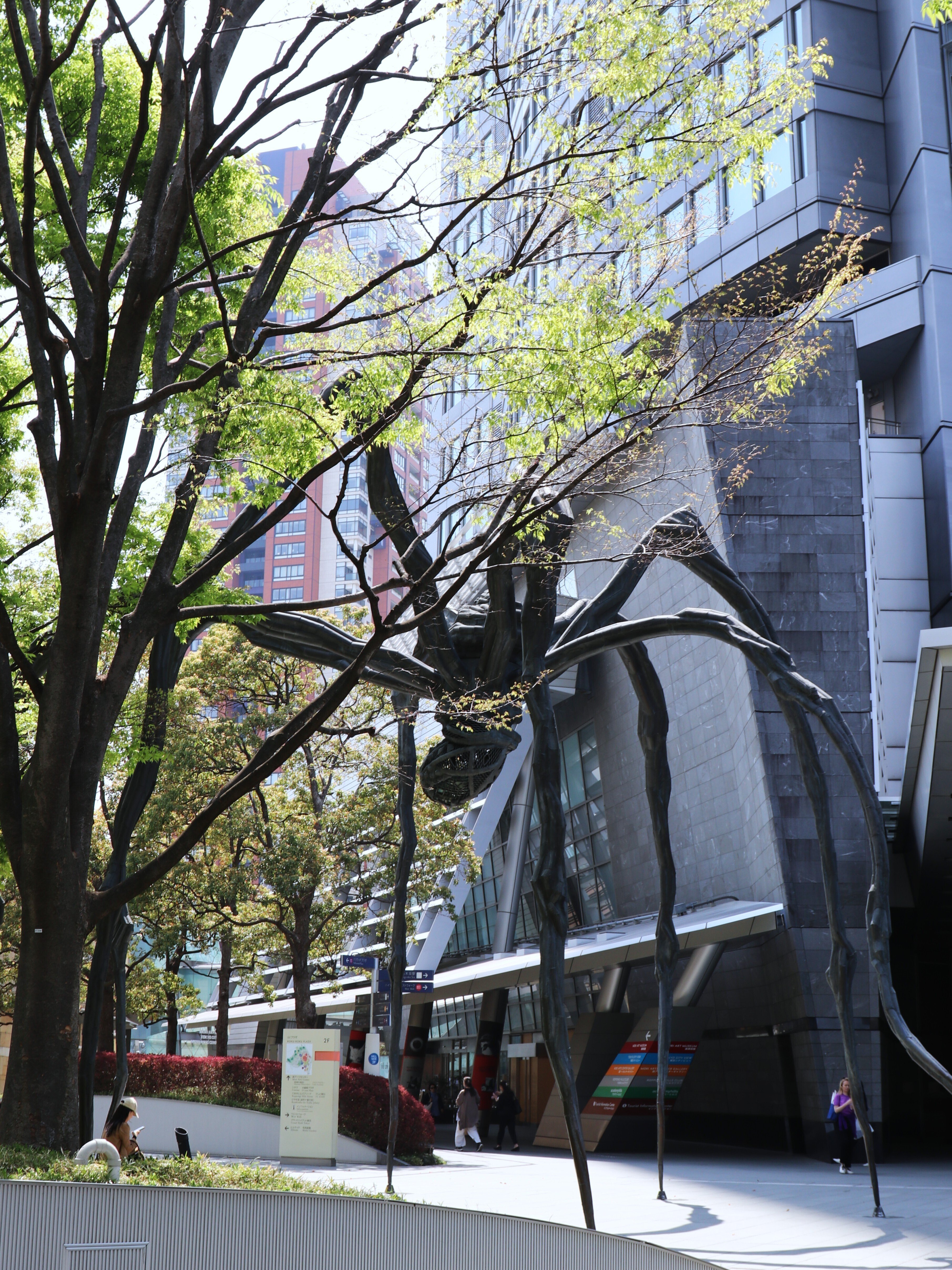 耳に音楽が響いてくる空間で -Gregor HILDEBRANDT [Cherries Bloom in