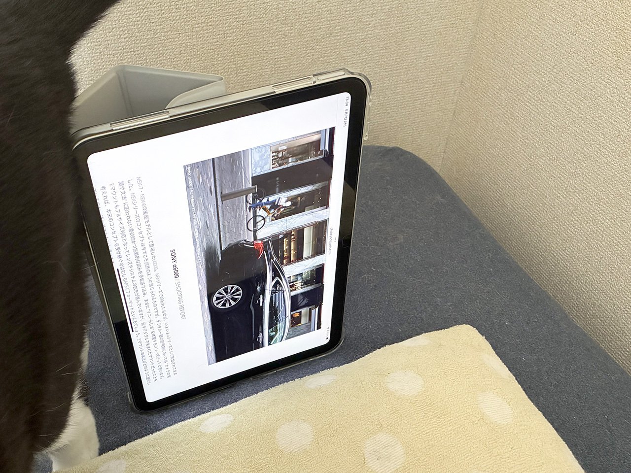 iPad 第10世代】休日ダラダラ人間のタブレット使いかた紹介！｜のりこ