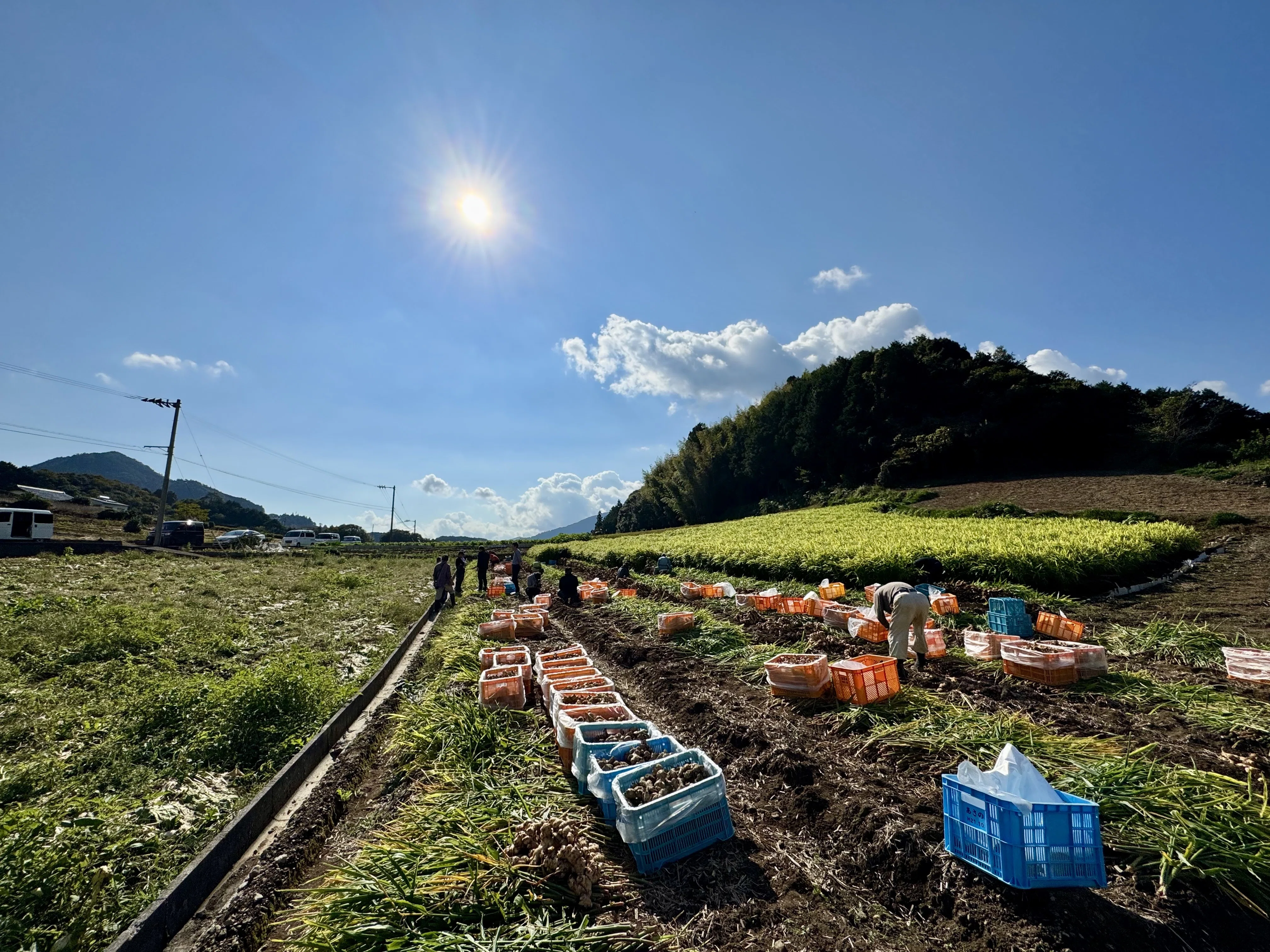 農家出身🍀直営農場から転籍して四万十工場の業務課長に｜(株)あさの