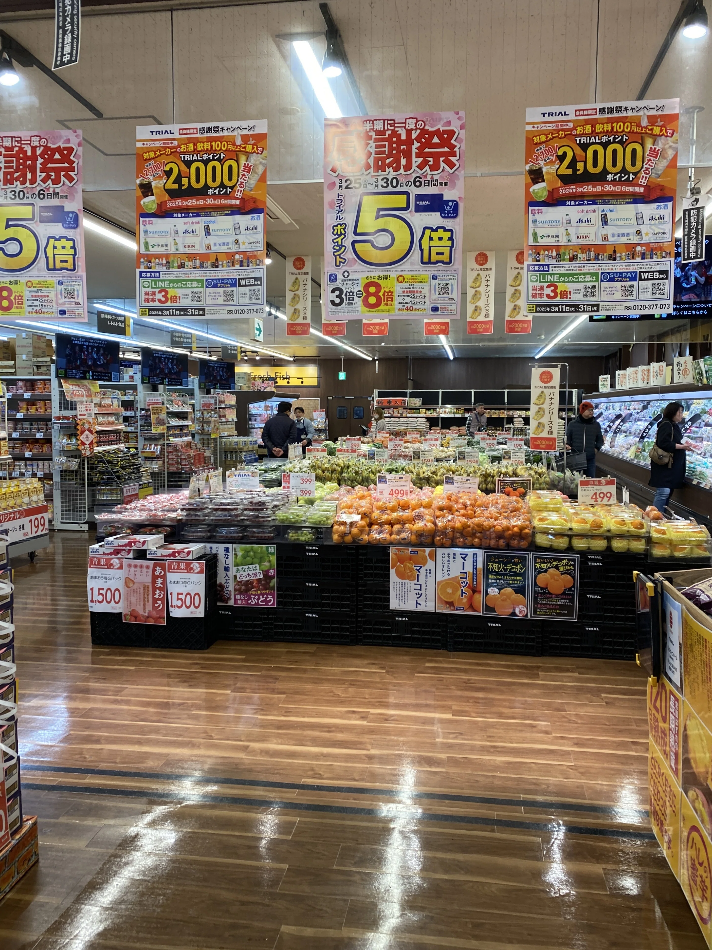 九州の王者「トライアル」は本当に激安なのか？｜ネコパンチ