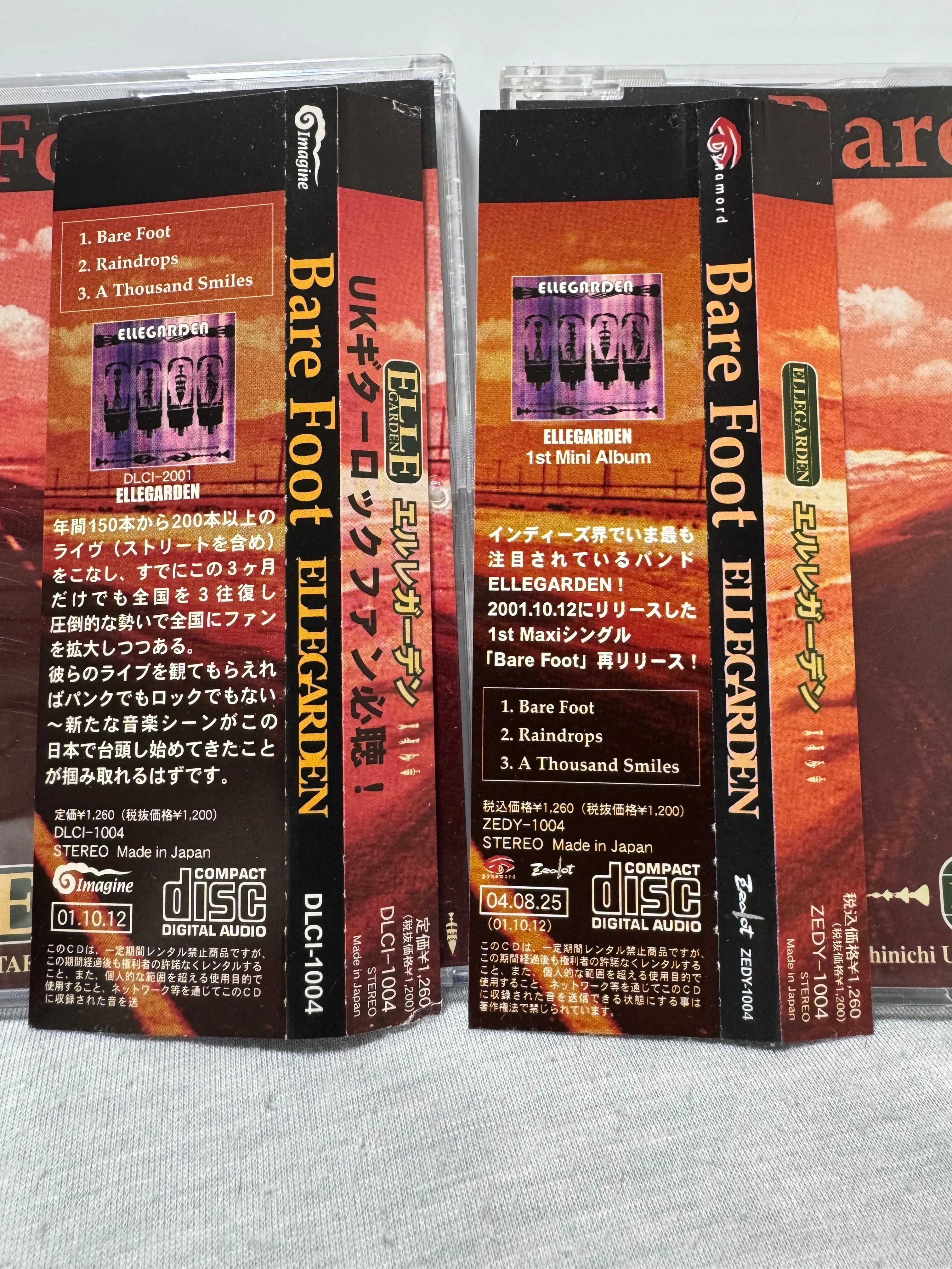 Purchased the first press edition of ELLEGARDEN｜とりあえず仮で