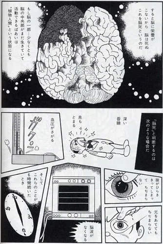 ミッドナイト』と『ブラック・ジャック』｜イカサマタコサマ