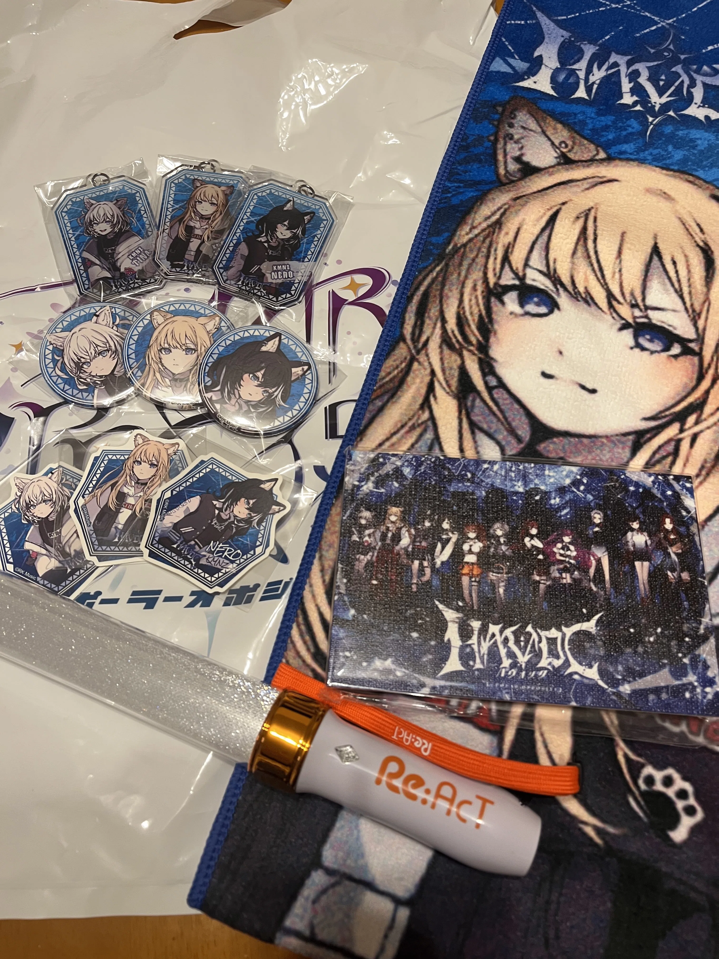 Re:AcTフェス「POLAR OPPOSITE」レポ（KMNZ）｜しりりうす