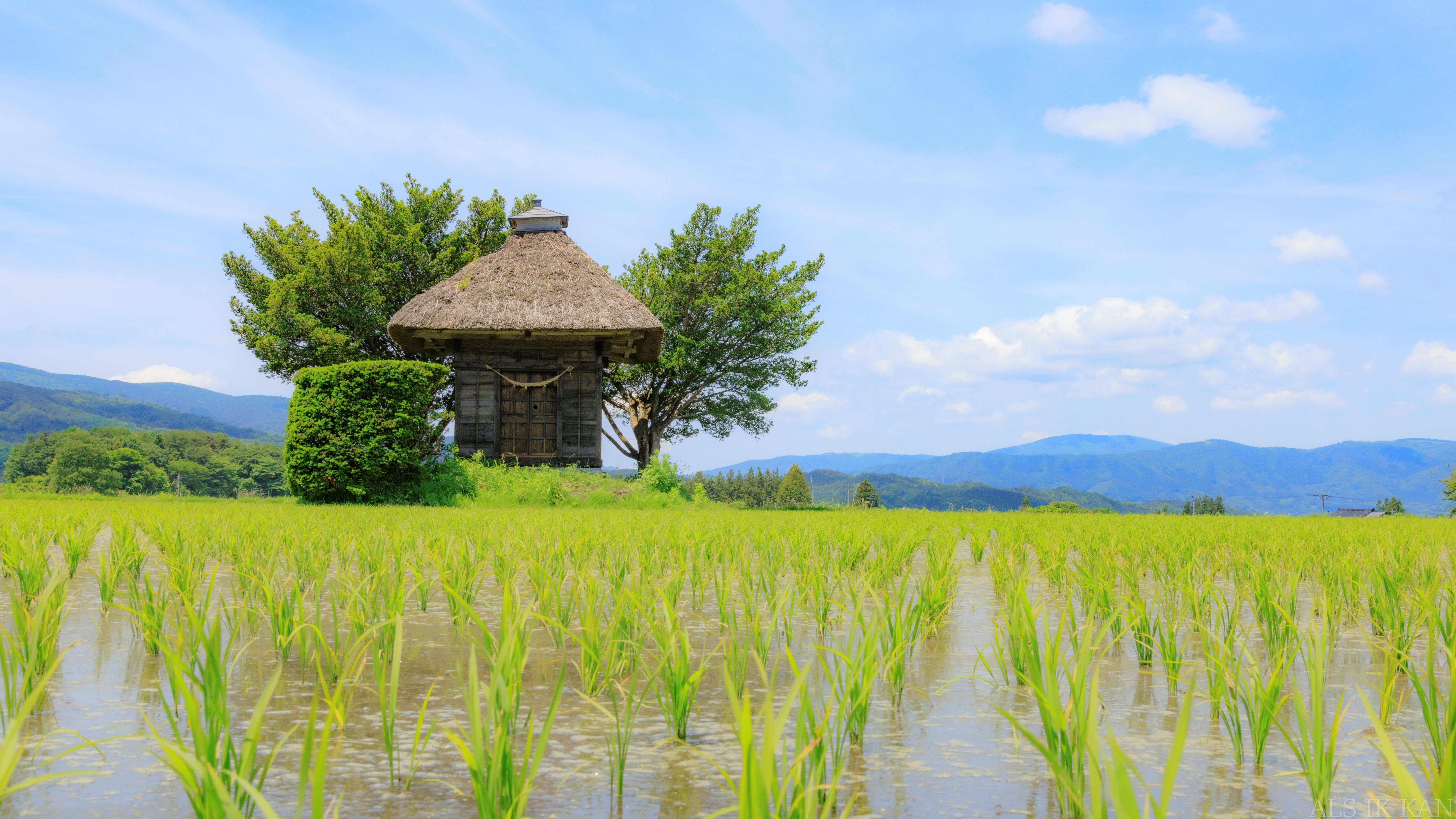 写真と民俗【遠野・座敷わらし祈願祭】｜メダカちゃん