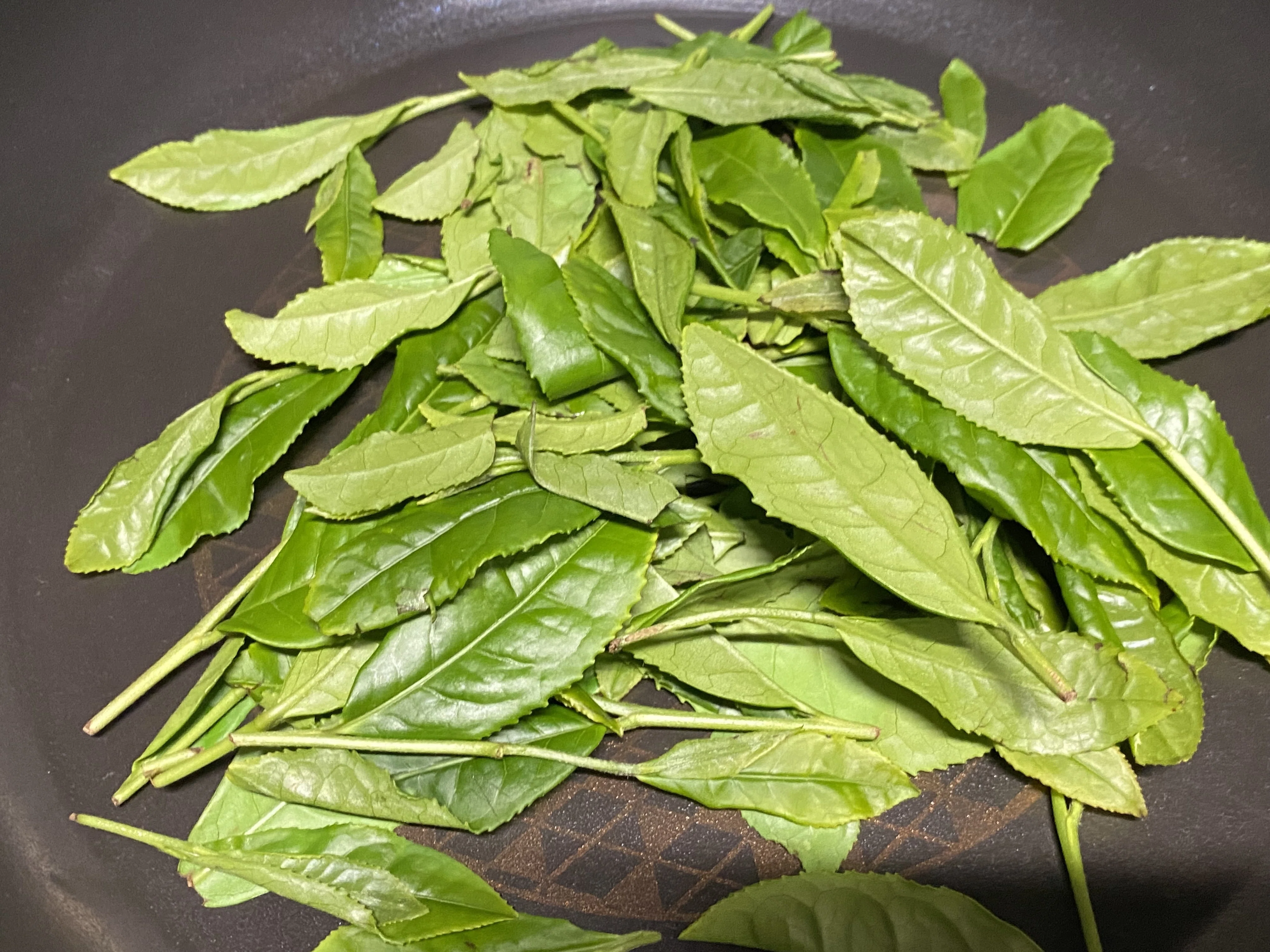 飲むだけじゃない、お茶っ葉のたのしみ方｜HOLLYday（ホリデイ）