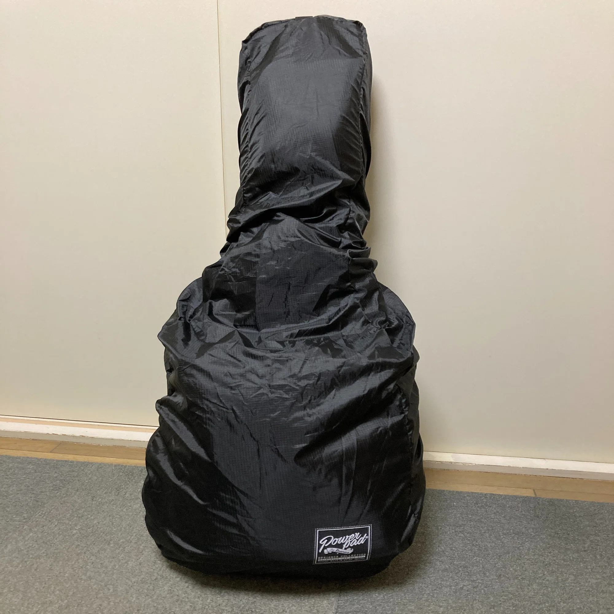 Nazcaケース（EG用）にIbanezのレインカバーは使えるのか？～使用 