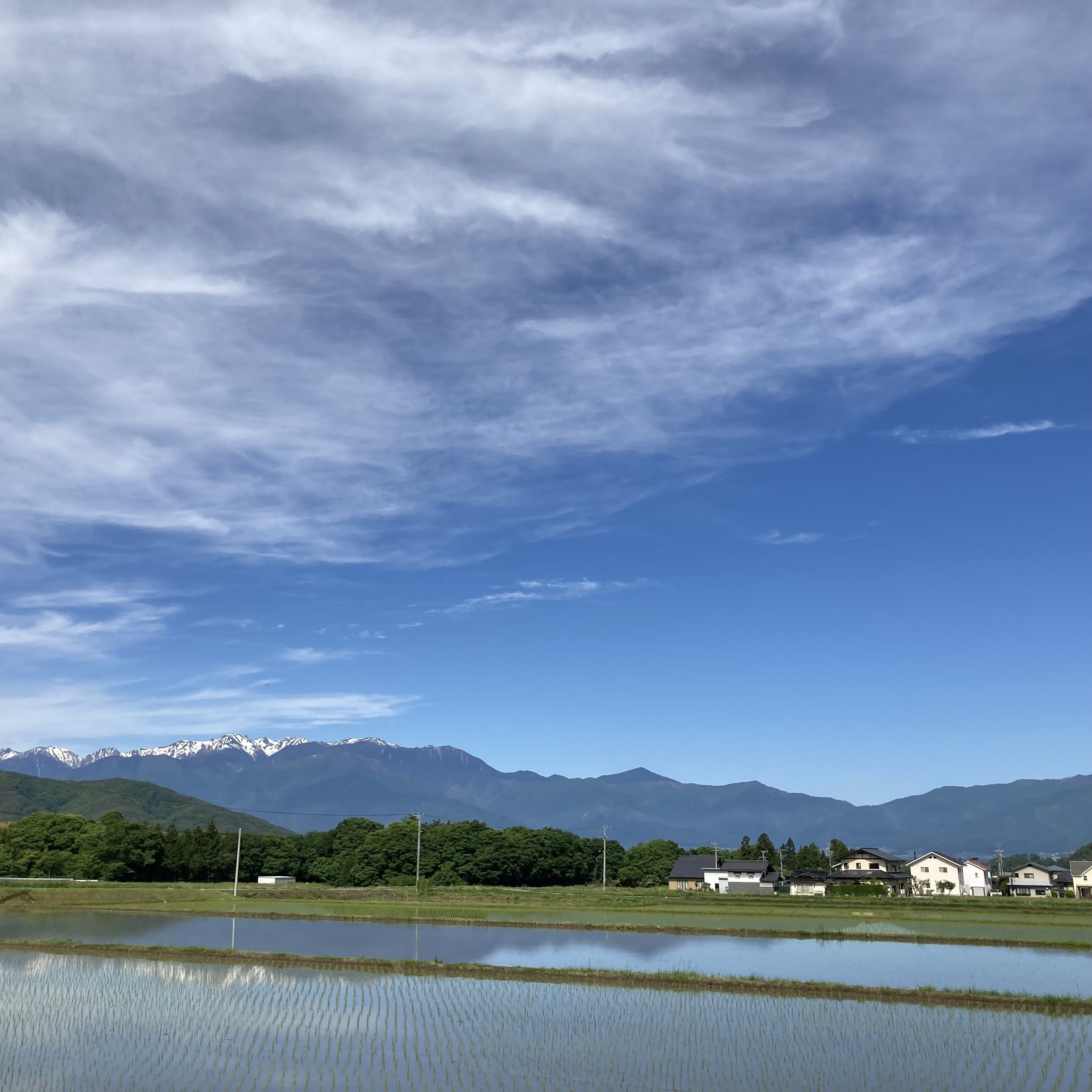 日常にアルプス_5月8日】信州伊那谷 5月の美しい日常｜アサリ